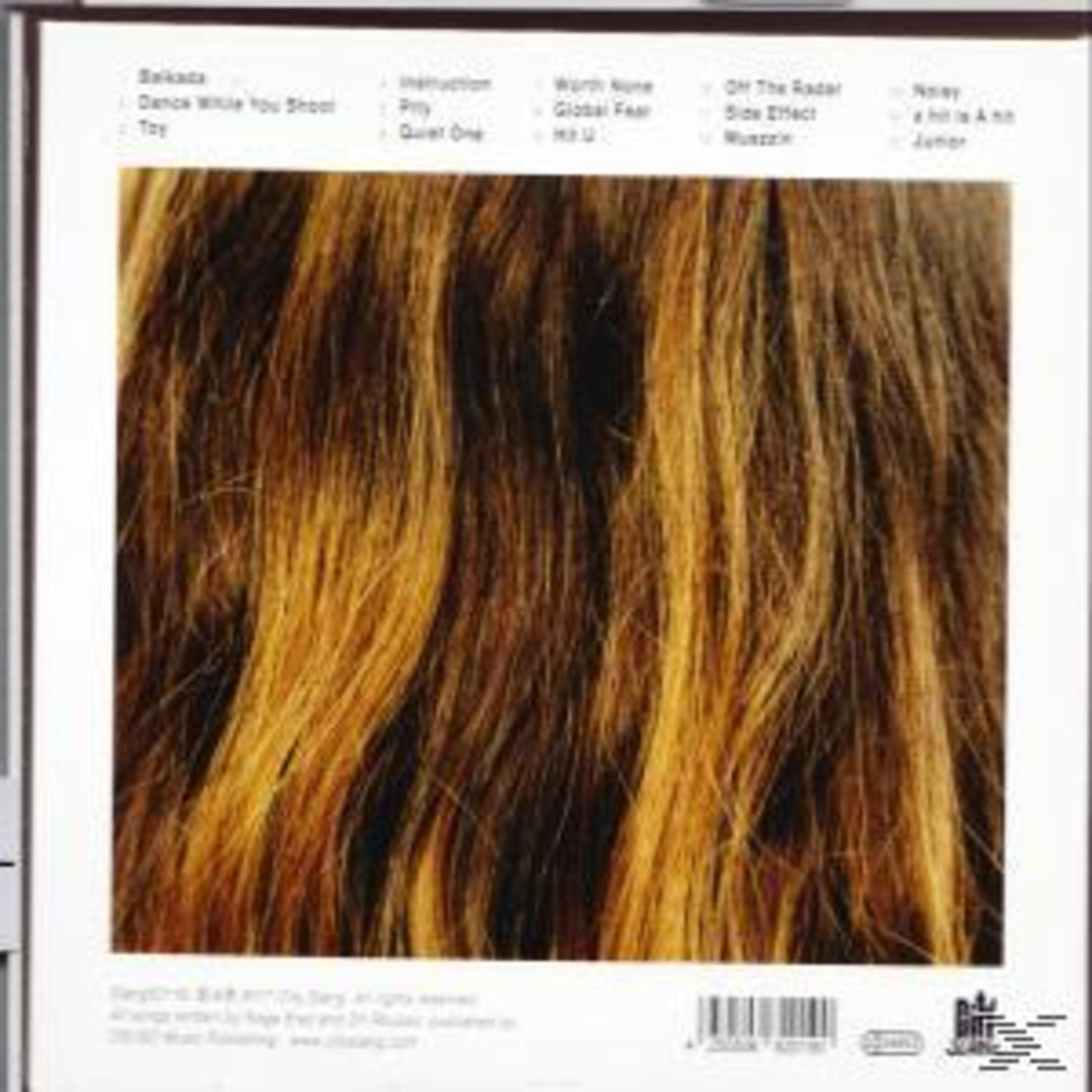 Rückseite einer CD mit einer Nahaufnahme von braunem, blondem Haar in der Mitte und Songtiteln.
