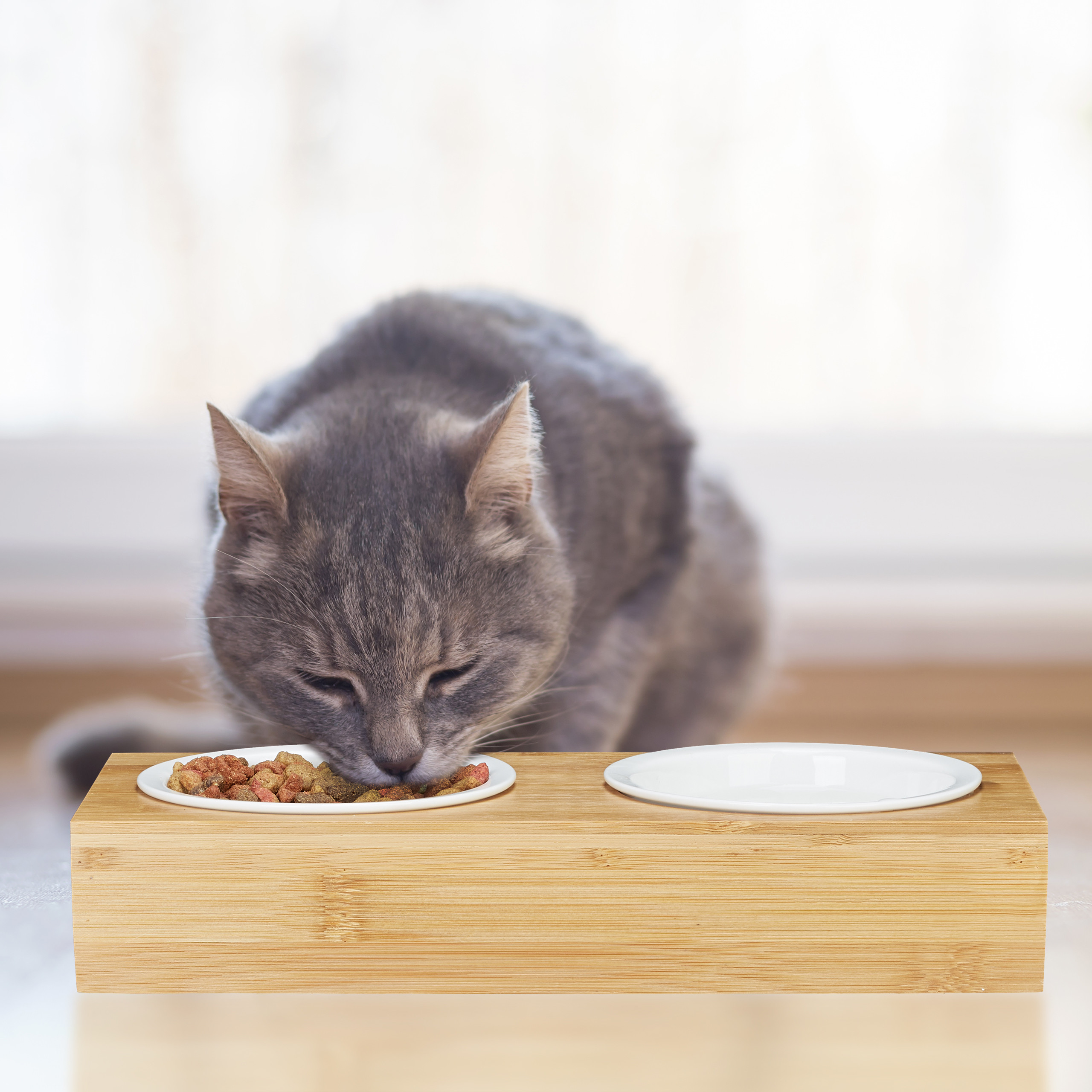 Eine graue Katze frisst aus einer weissen Schale auf einem Holzstaender, daneben eine leere Schale.