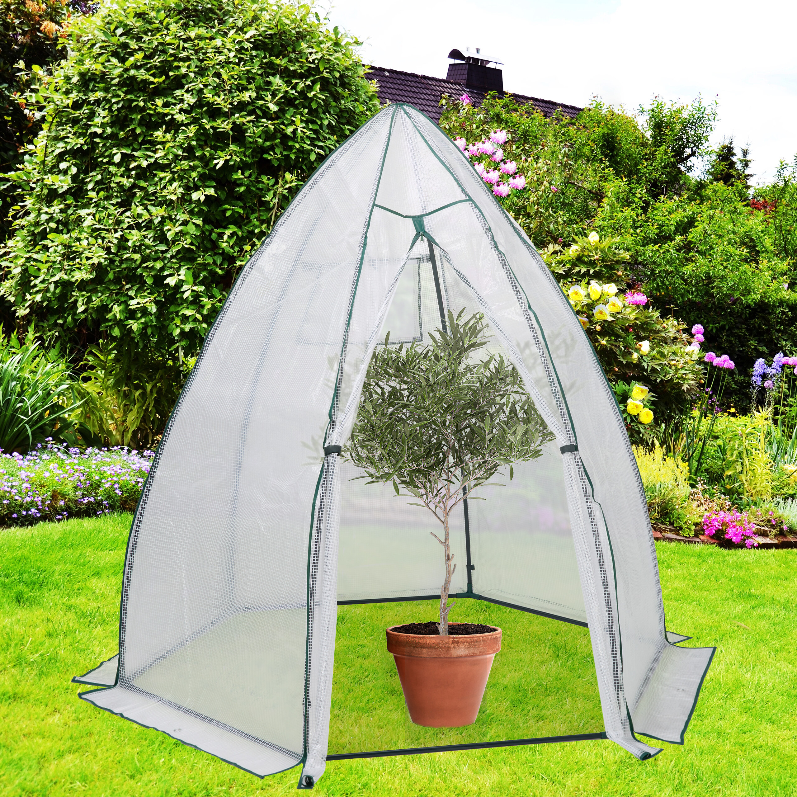 Topfbaum in einem kegelförmigen Gewächshaus auf Rasen, mit Garten und Hausdach im Hintergrund.