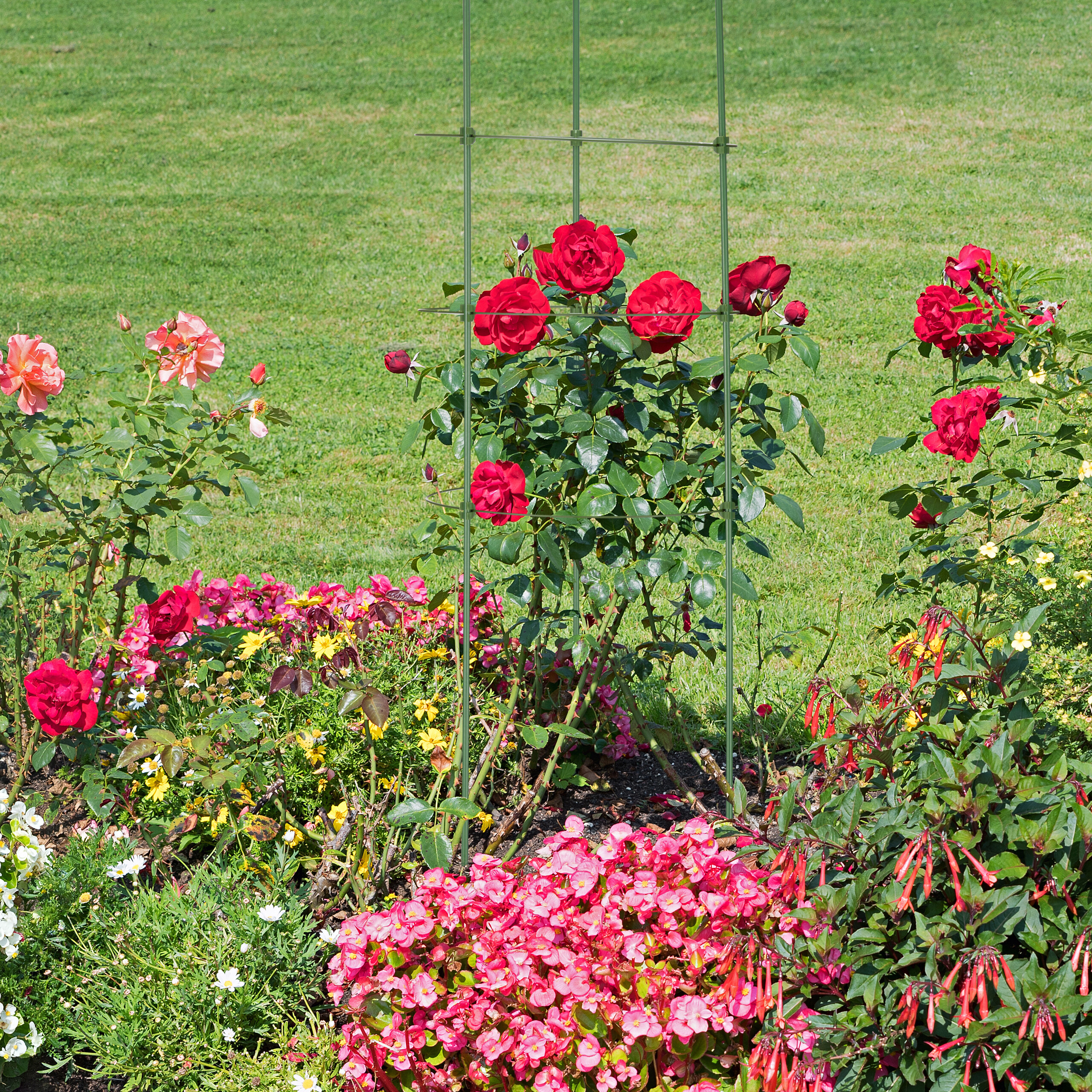Ein grünes Metallgitter stützt rote Rosen in einem Garten mit bunten Blumen und Rasen.