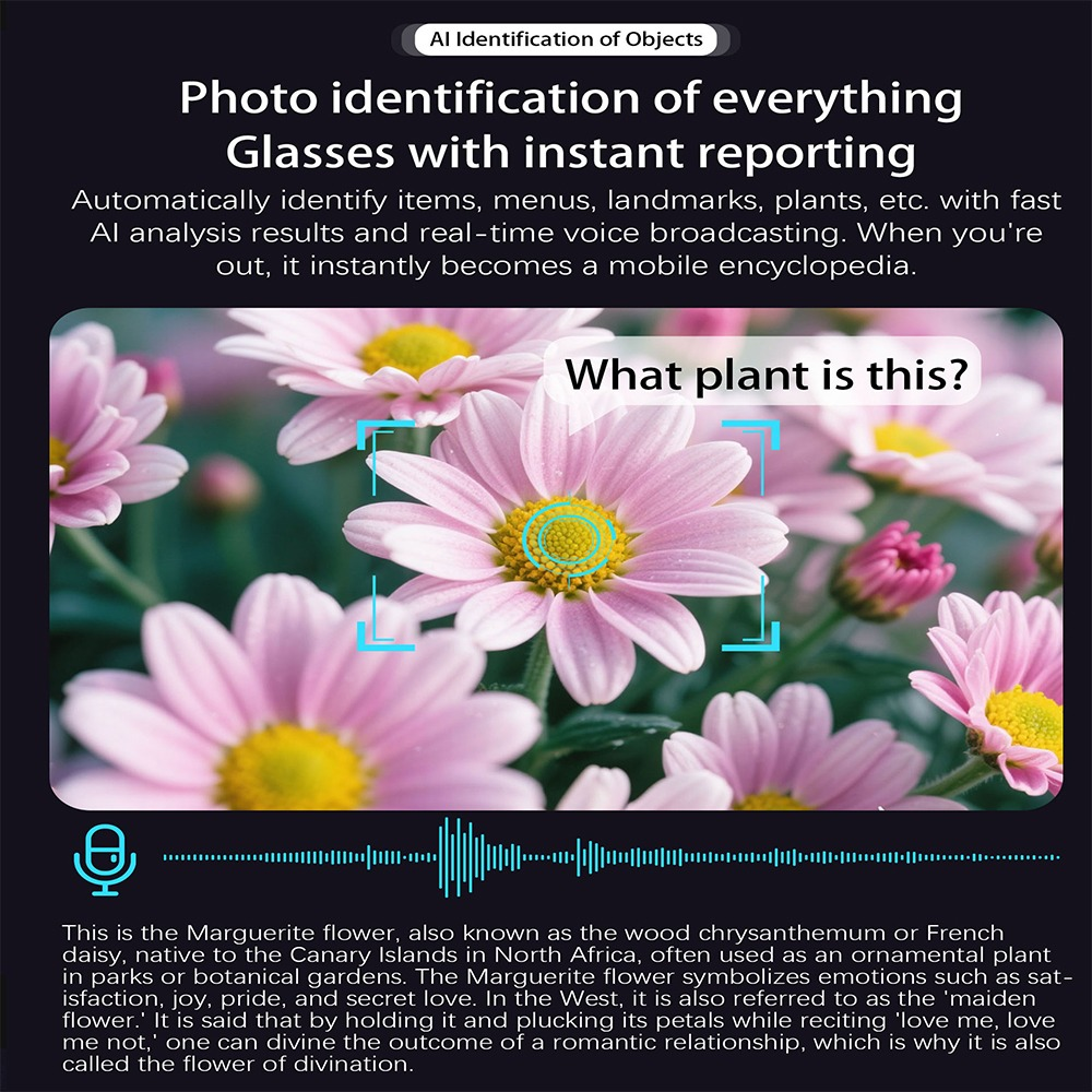 Werbebild für smarte Brillen, die Pflanzen wie Marguerite-Blumen per KI erkennen und beschreiben.