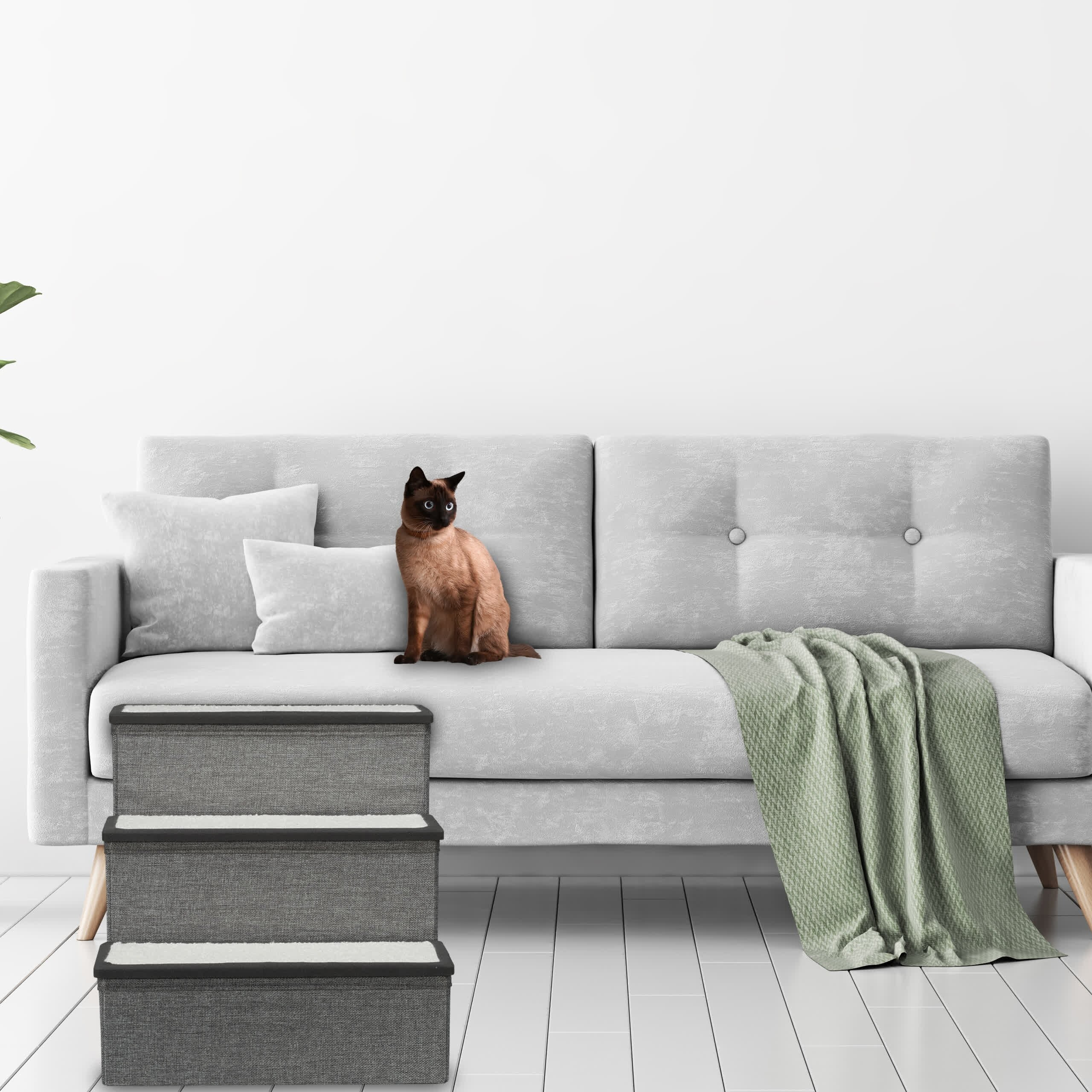 Eine Siamkatze sitzt auf einem grauen Sofa neben Kissen, mit einer grauen Haustiertreppe davor und einer grünen Decke.