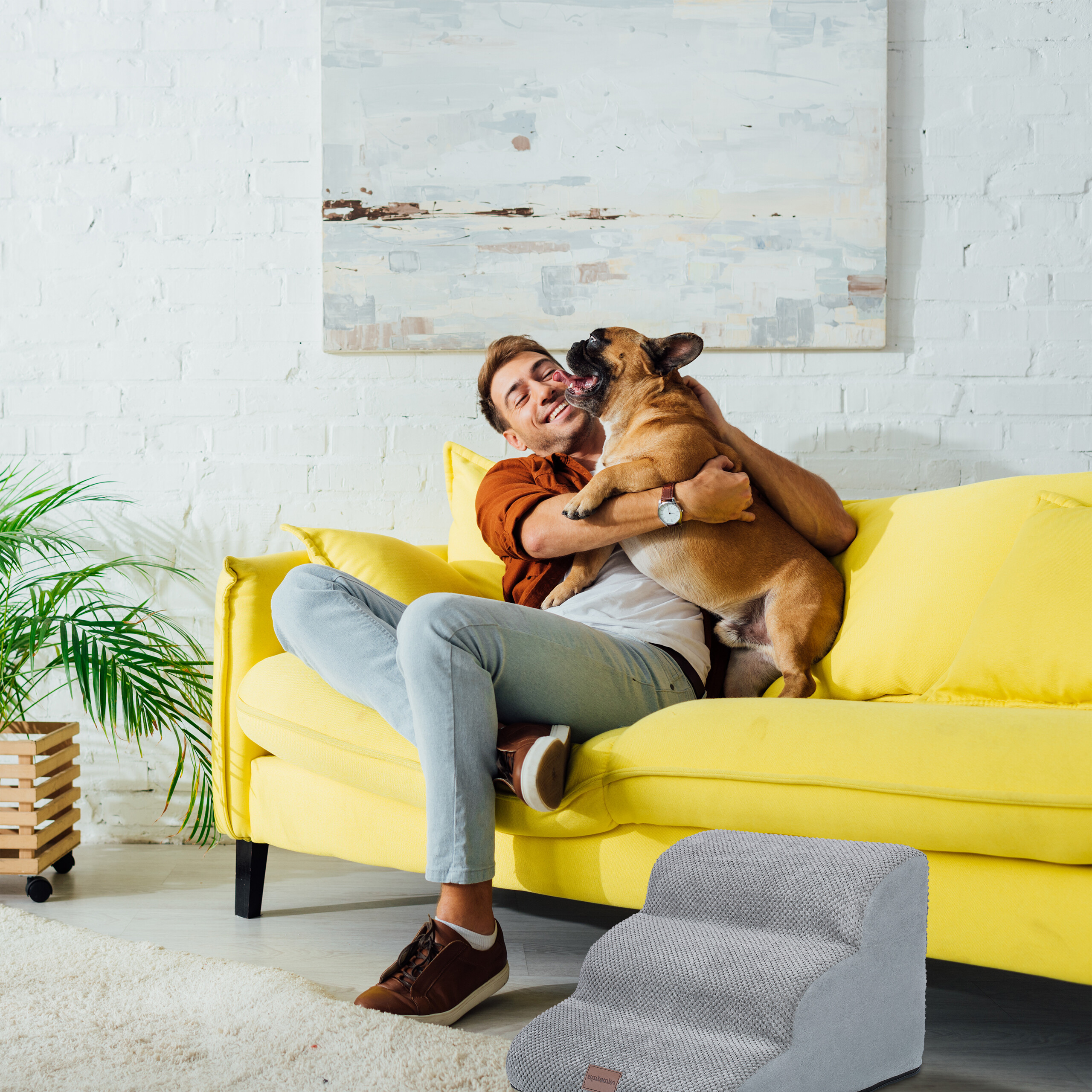 Ein glücklicher Mann kuschelt auf einem leuchtgelben Sofa mit seinem braunen Französischen Bulldoggen-Hund.