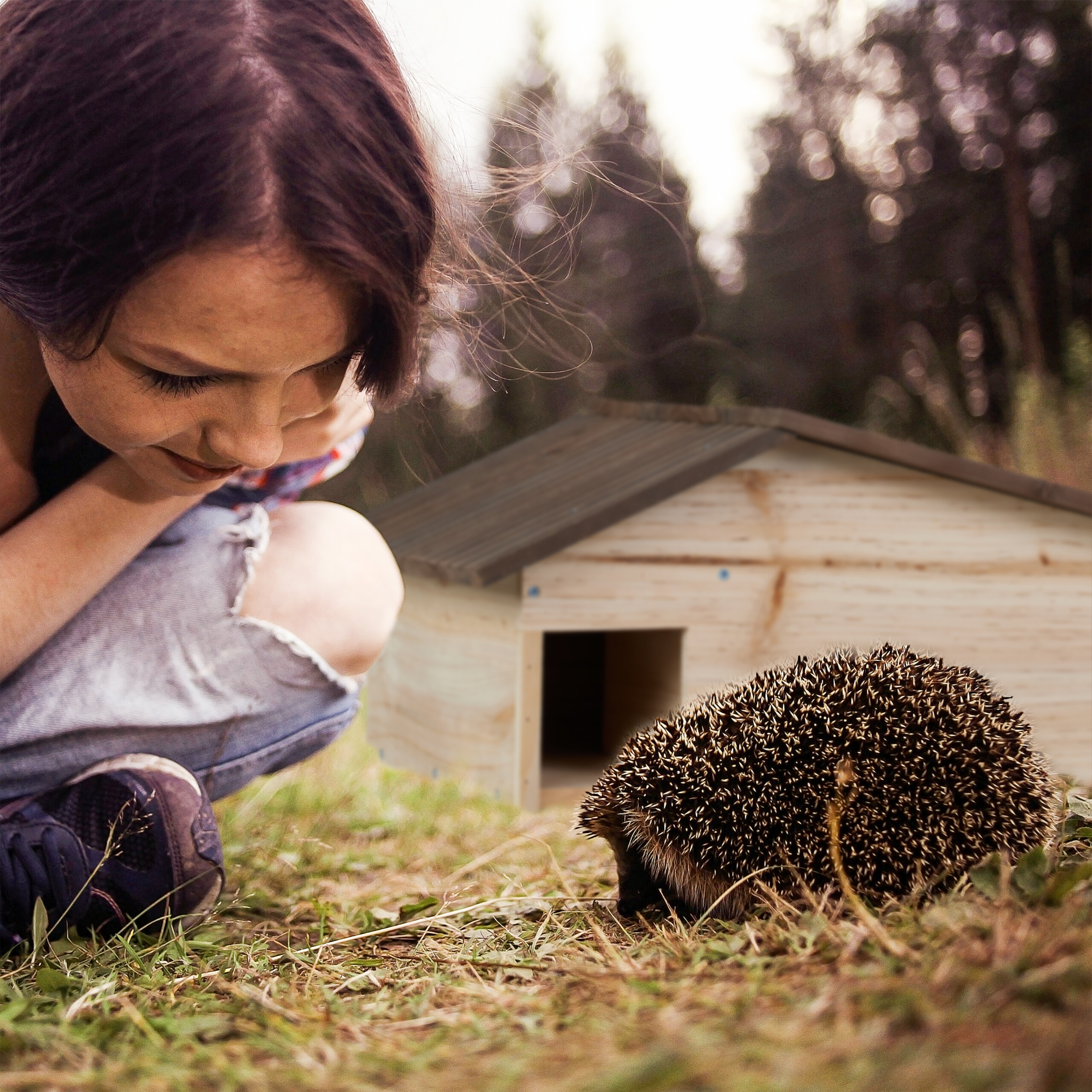 Ein Mädchen kniet im Gras vor einem Igel und einem kleinen Holzhaus im Hintergrund.