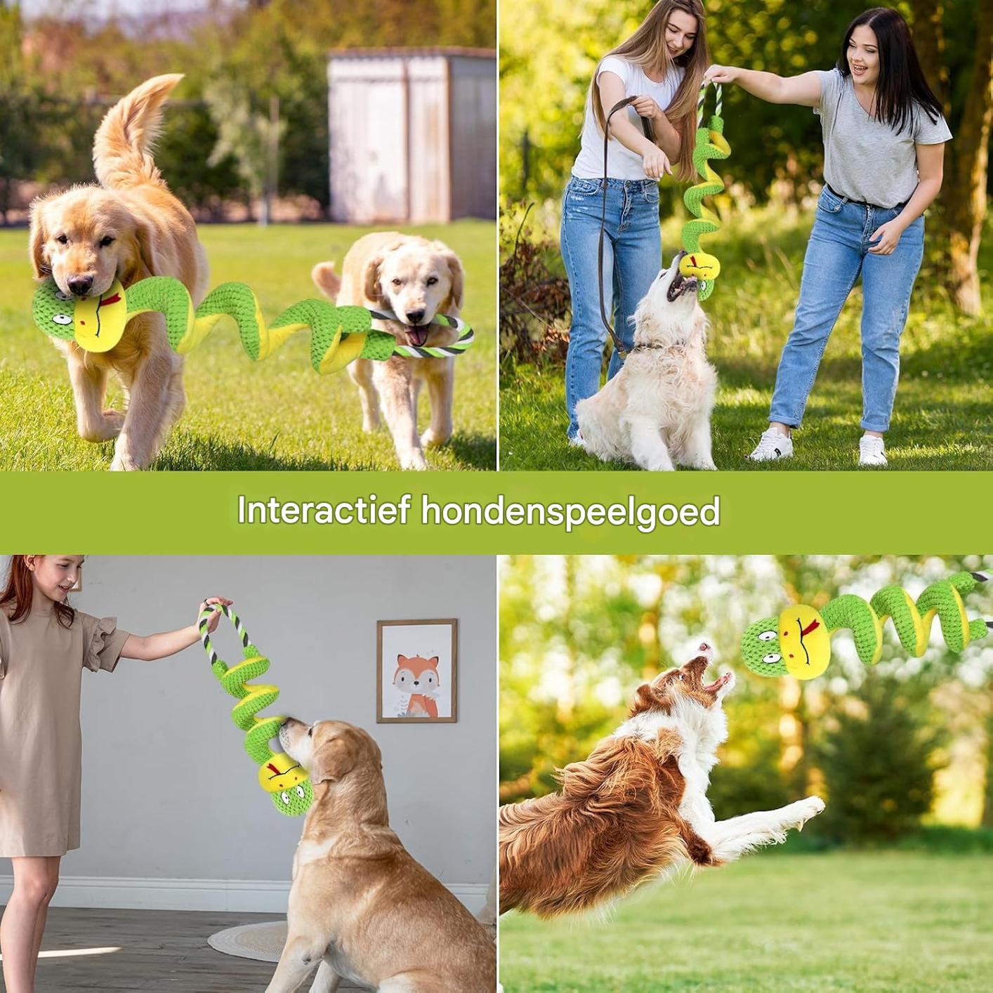 Verschiedene Hunde spielen mit einem grünen Schlangenspielzeug, das interaktive Hündenspeelgoed genannt wird.