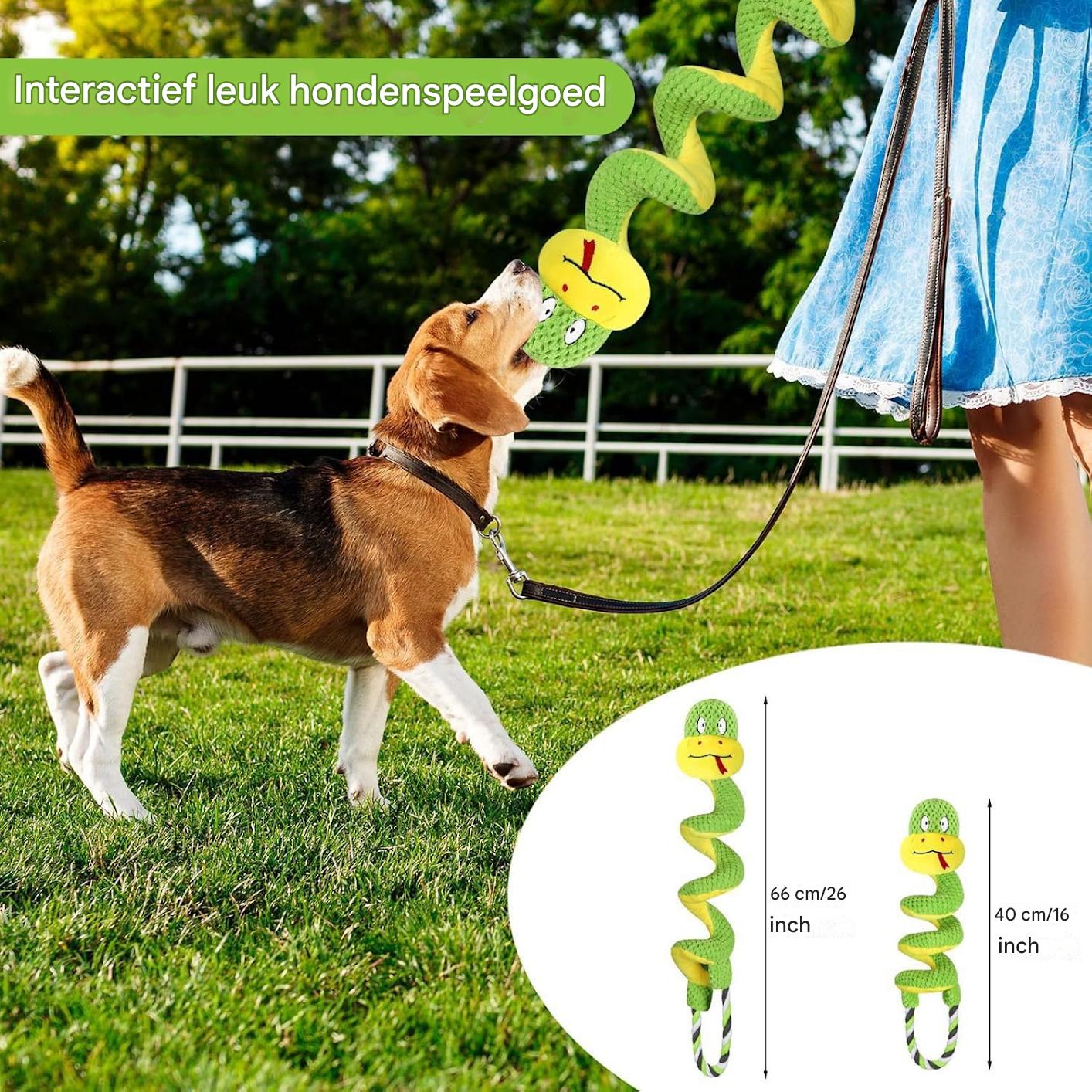Beagle beißt in grünes Schlangenspielzeug im Freien.