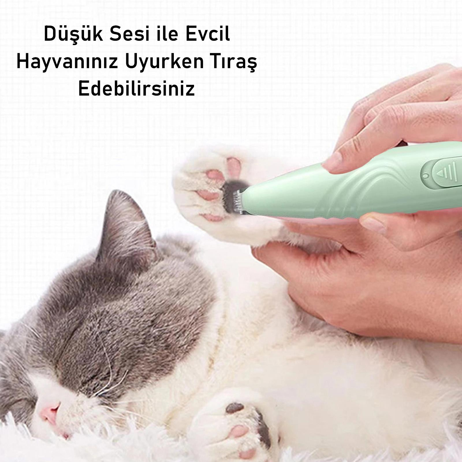 Bir el, küçük yeşil bir tıraş makinesiyle uyuyan kedinin pati tüylerini kesiyor.