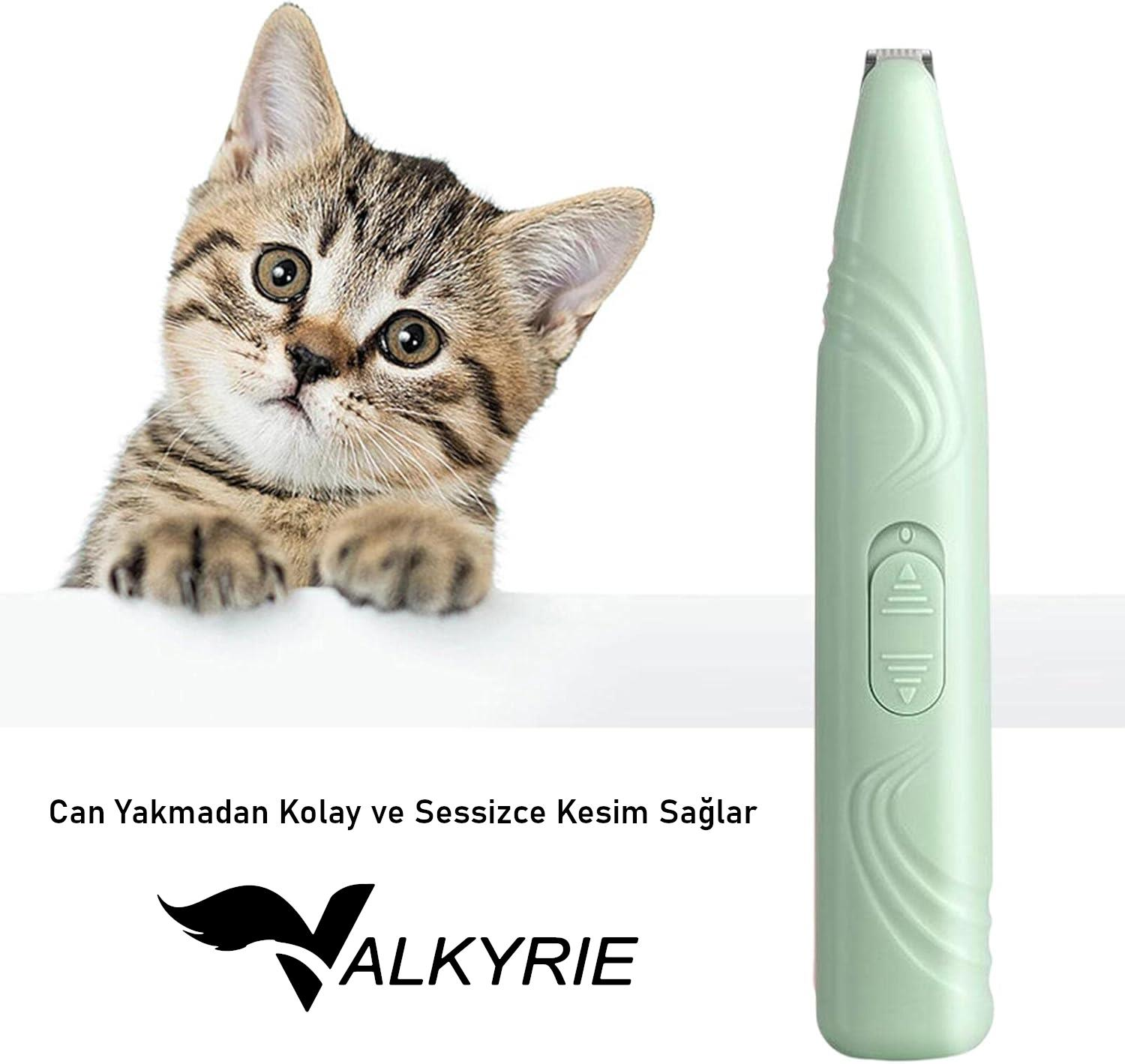 Beyaz arka planda küçük bir tekir kedi ve yeşil bir elektrikli saç kesme makinesi.