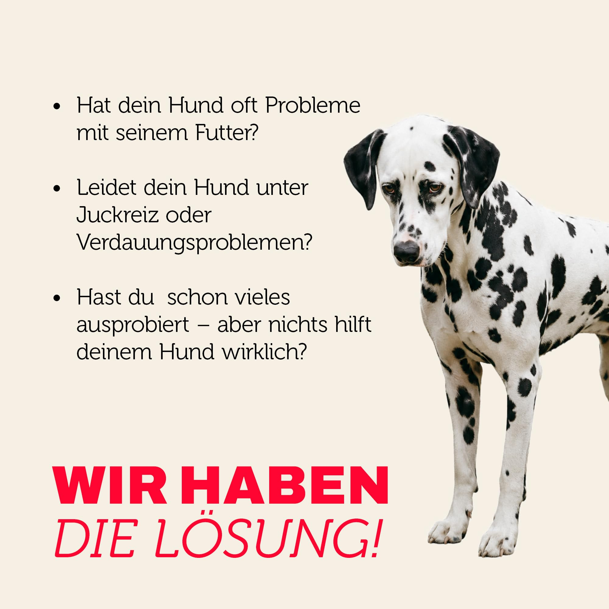 Ein traurig wirkender Dalmatiner steht neben deutschem Text mit Fragen zu Futterproblemen und der roten Überschrift Wir haben die Lösung.