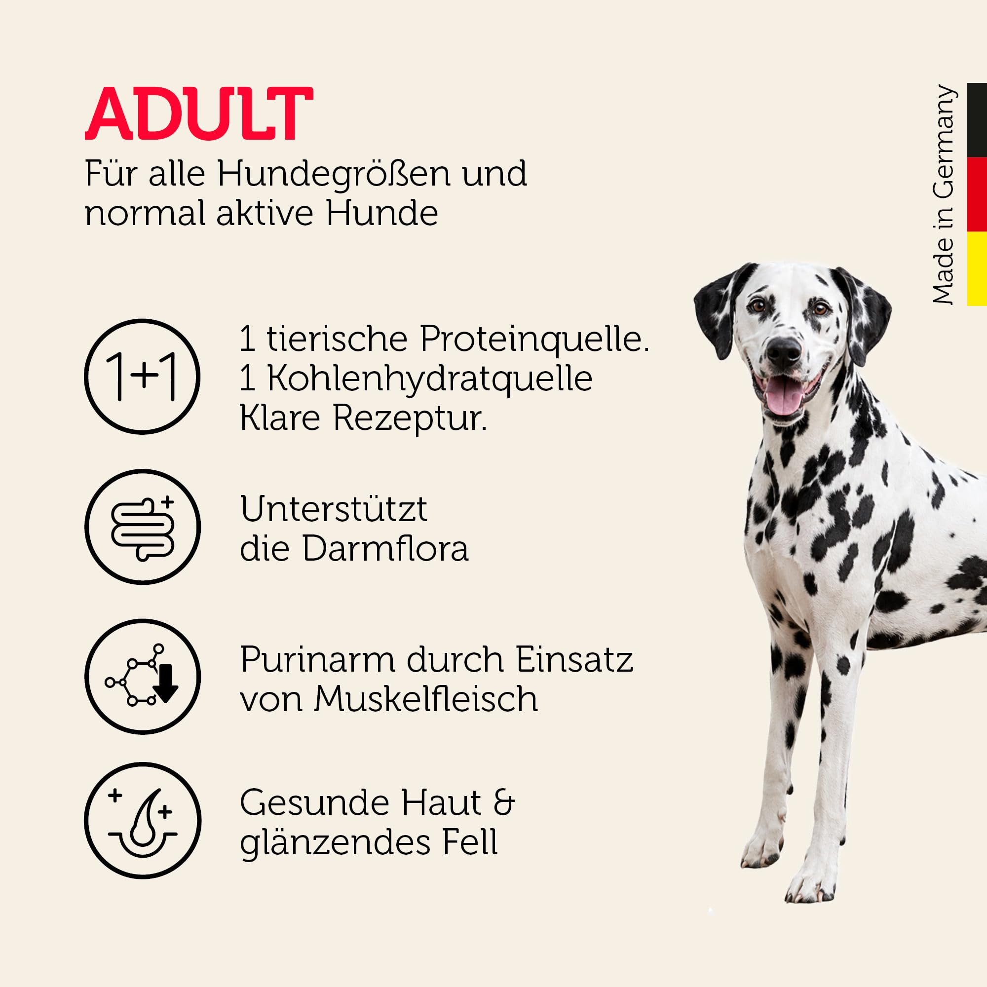 Dalmatiner mit deutschem Text zu Hundefutter für erwachsene Hunde auf hellem Hintergrund.