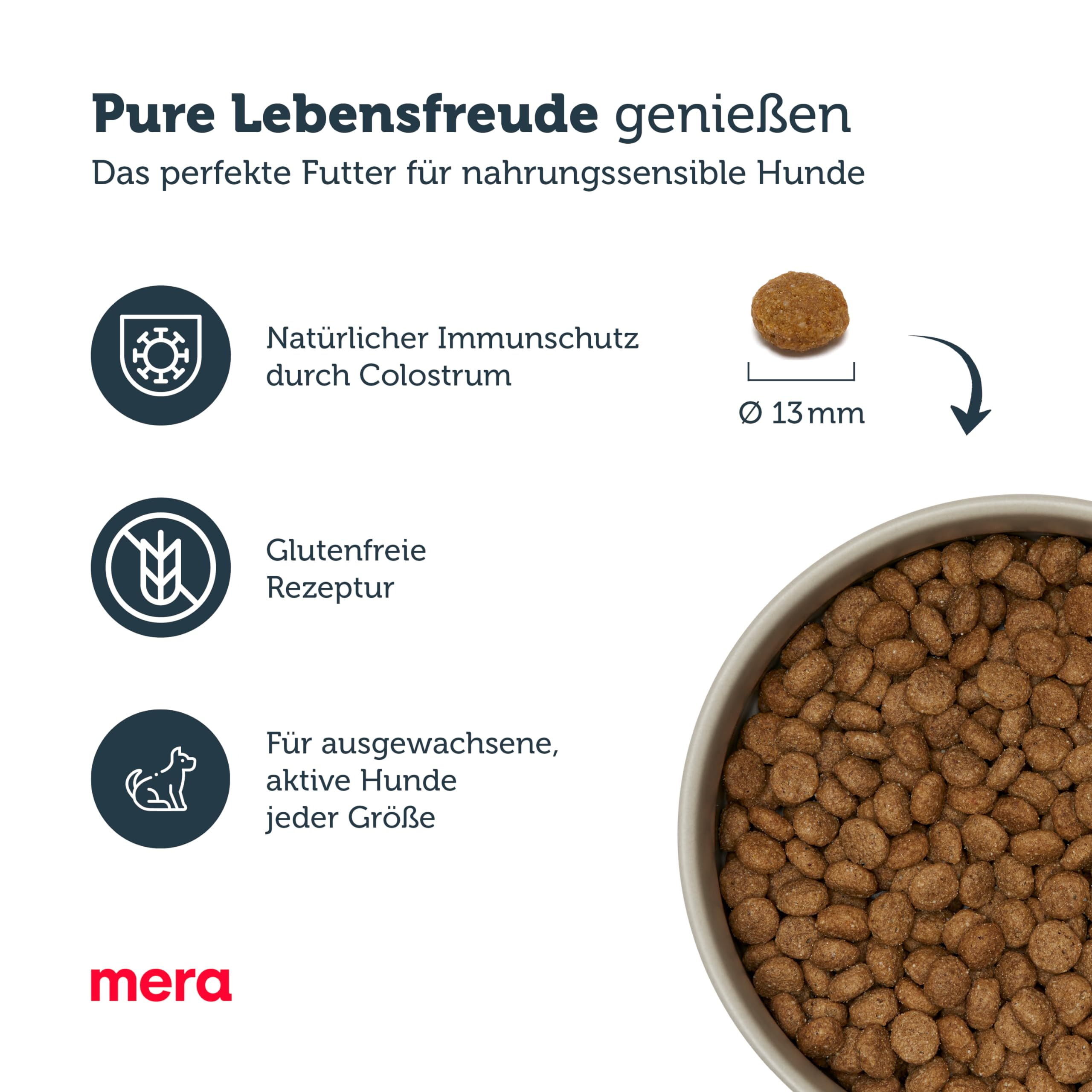 Infografik zeigt Hundefutter-Vorteile, 13mm Krokettengröße und eine Schüssel Trockenfutter.