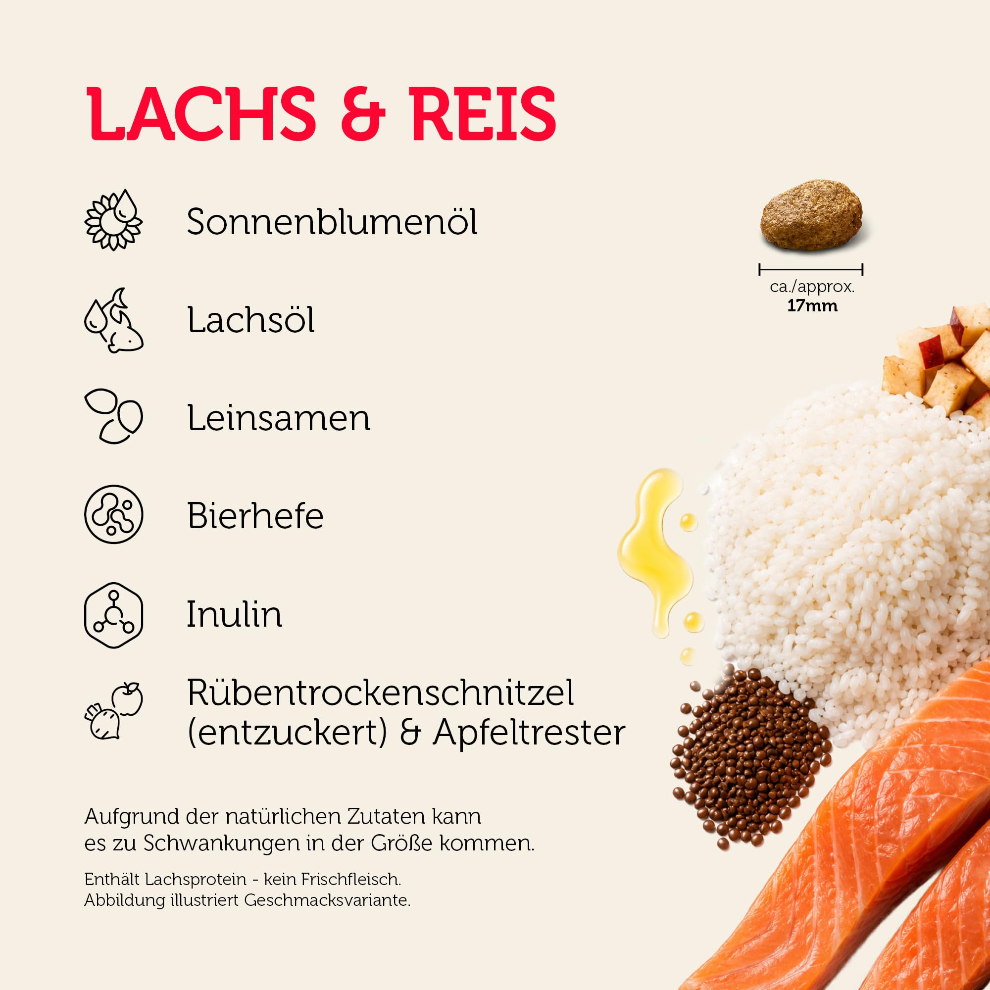 Inhaltsstoffe von Lachs und Reis Hundefutter mit Icons und Zutaten wie Lachs, Reis, Ölen und Apfel.
