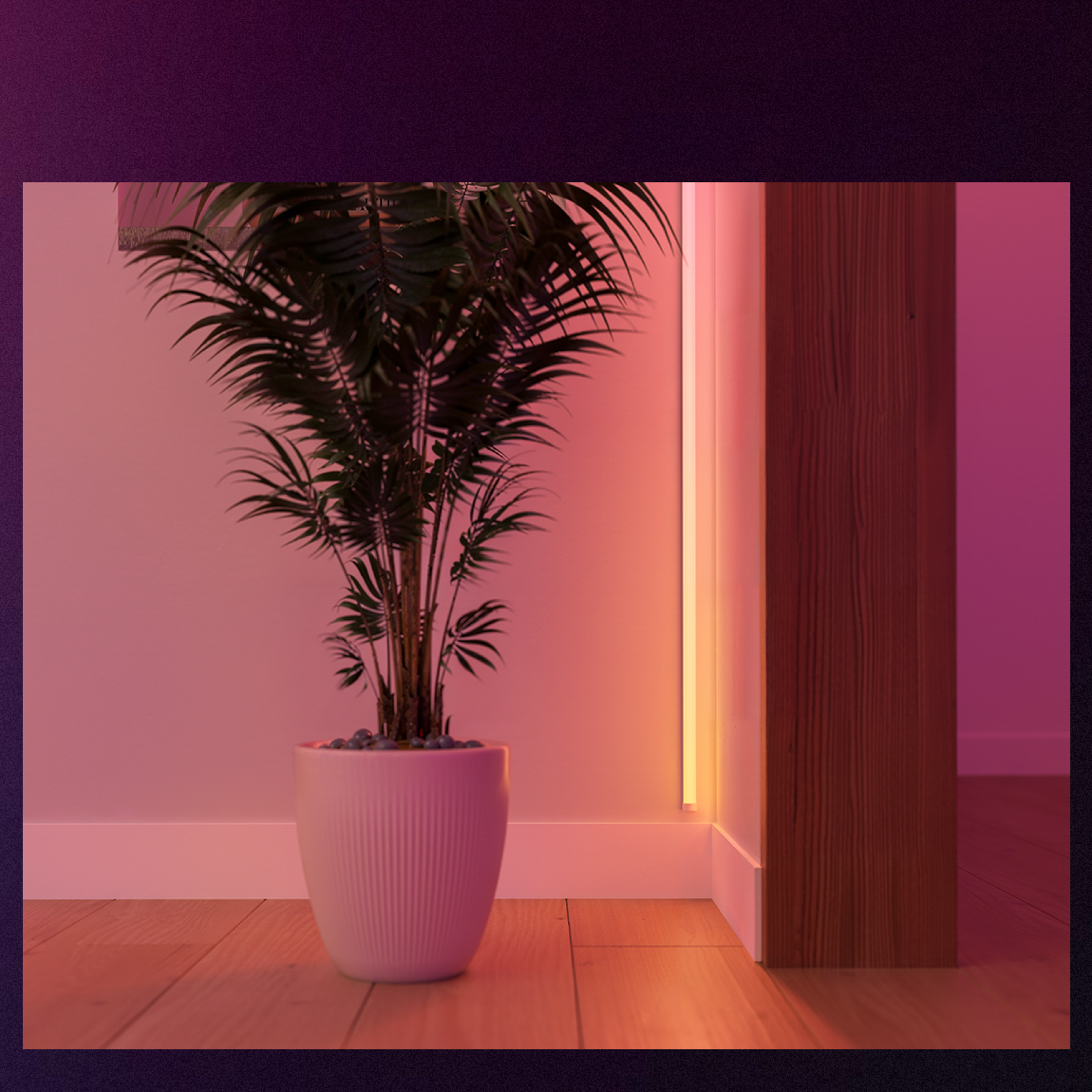 Una palma in vaso si trova su un pavimento di legno in una stanza illuminata da una calda luce rosa e una striscia LED verticale.