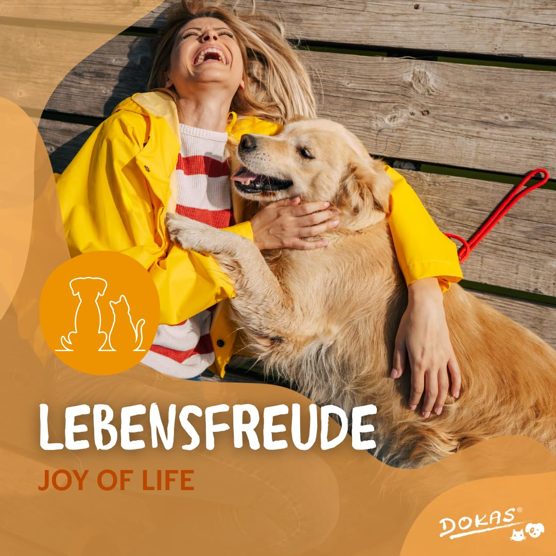 Eine lachende Frau in gelber Jacke umarmt ihren Golden Retriever auf einem Holzdach.