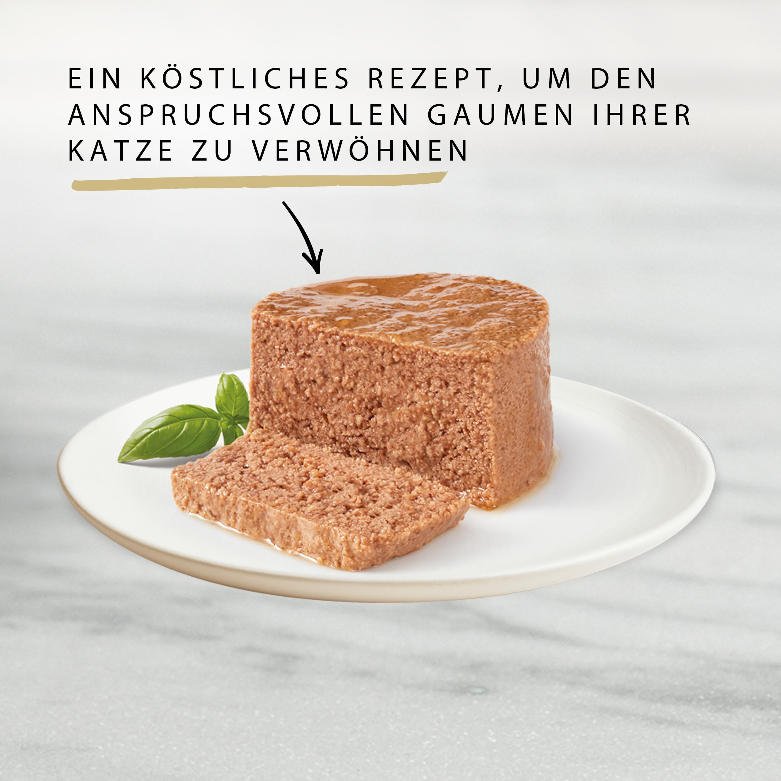 Ein zylindrischer Katzenfutterblock mit einer Scheibe und einem Basilikumblatt auf einem weissen Teller.