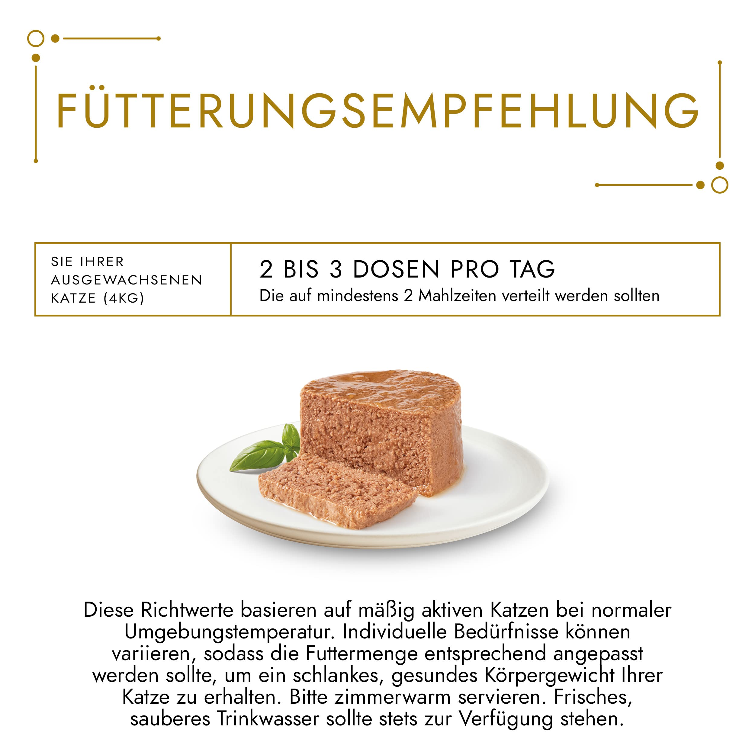 Fütterungsempfehlung für Katzen: Dosenfutter auf weißem Teller mit Text und Rahmen.