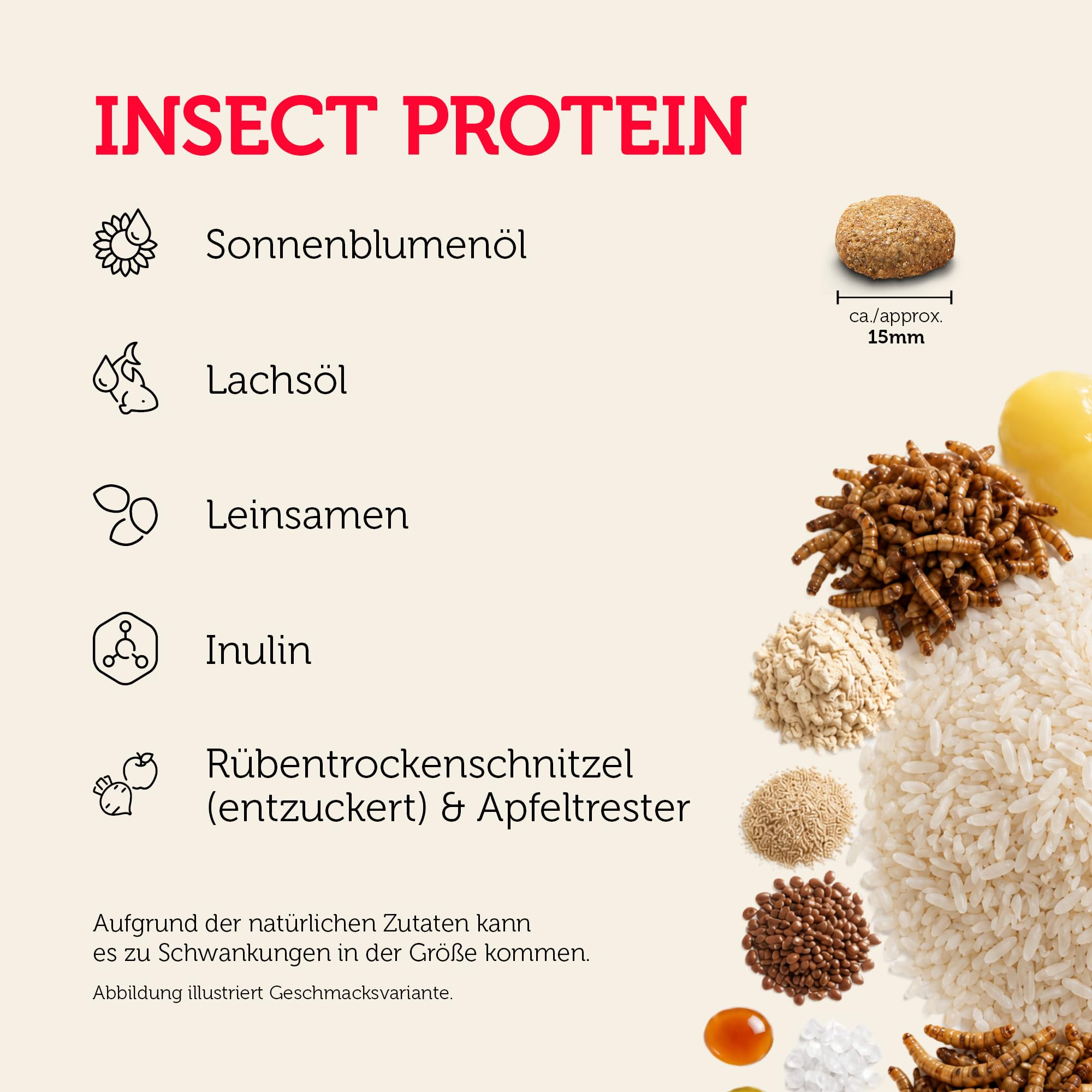 Insekt Protein und Zutaten wie Öle und Samen auf hellem Grund.