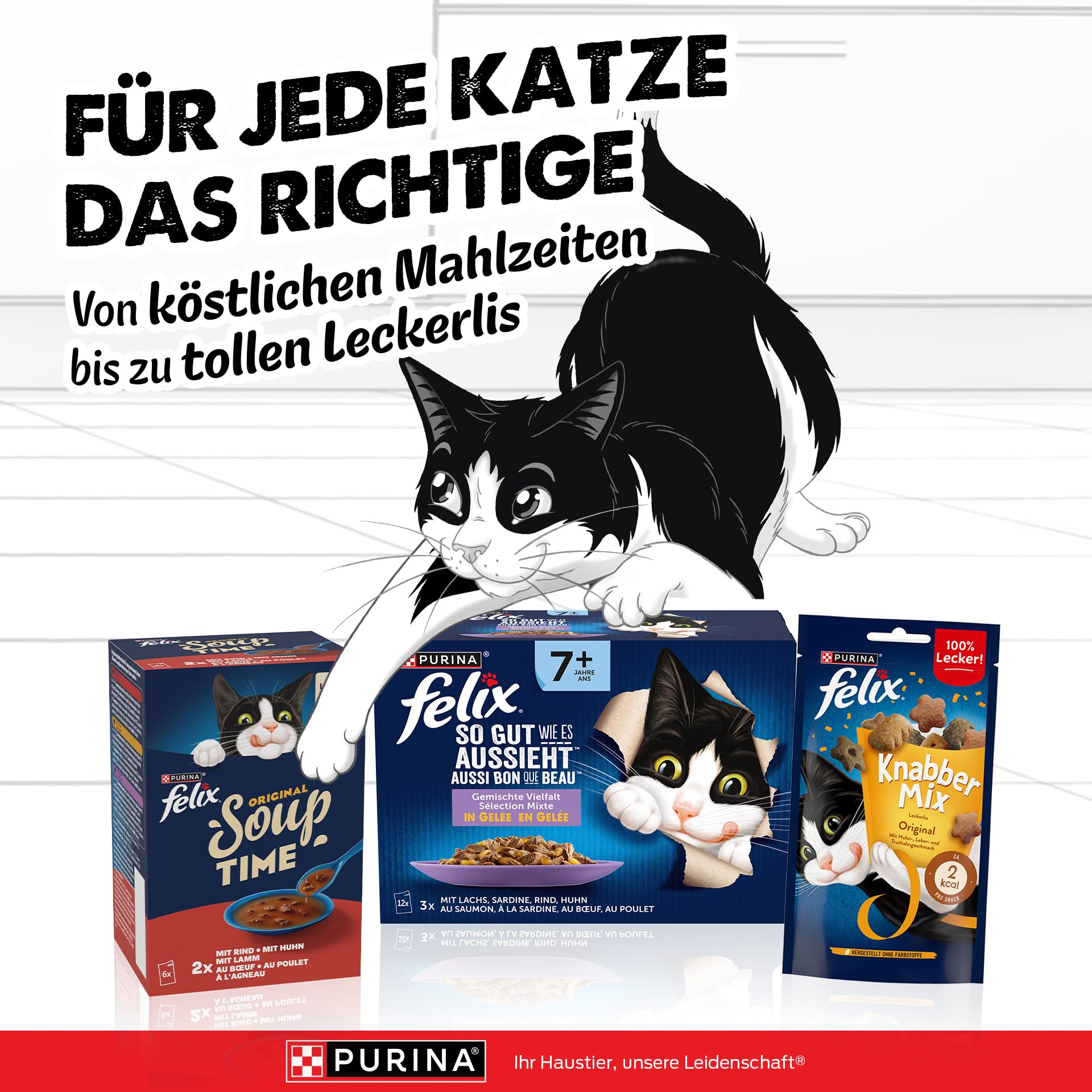 Eine schwarz-weiße Felix-Katze mit Katzenfutter-Produkten und Text auf weißem Hintergrund.