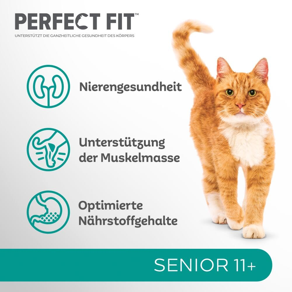Perfekt Fit Katzenfutter Werbung mit rotem Kater und Text für Senioren.