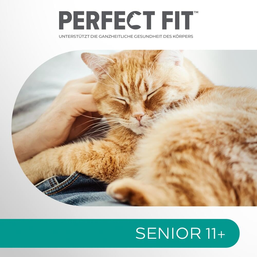 Eine Hand streichelt eine glückliche orangefarbene Katze auf einem Schoß unter Perfect Fit Senior 11+ Werbung.
