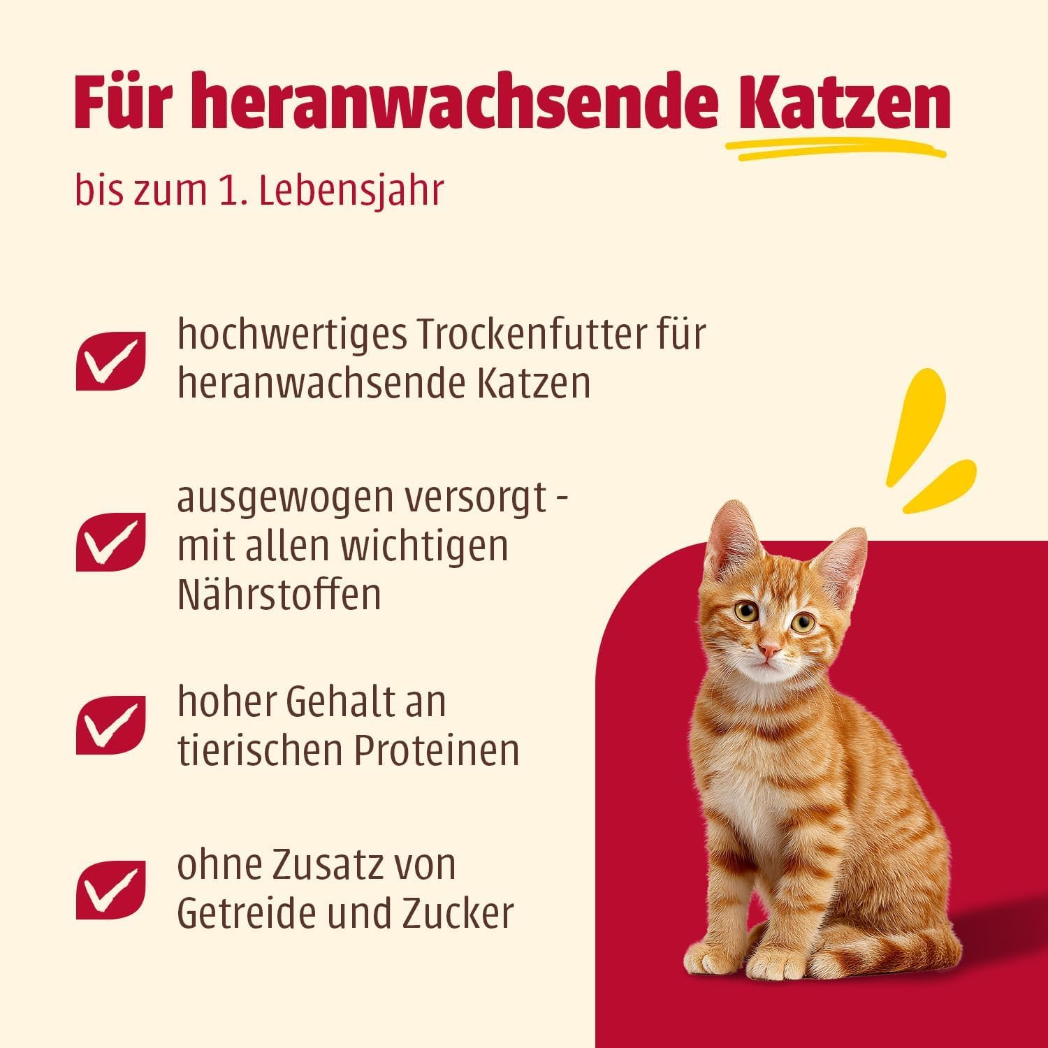 Werbegrafik für Katzenfutter für heranwachsende Katzen mit rotem Kater auf rotem und gelbem Hintergrund.