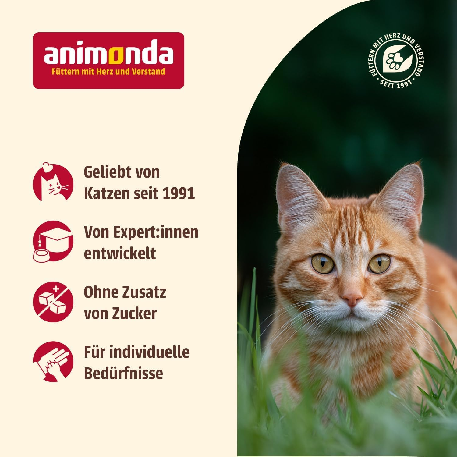 Eine orange Katze im Gras neben Animonda-Werbetext und Icons.