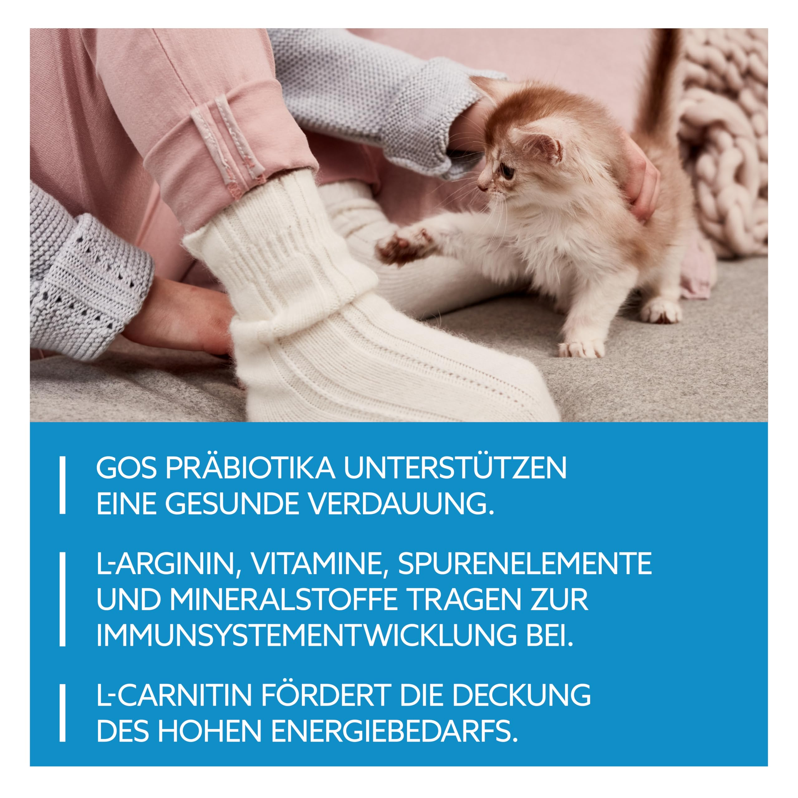 Ein flauschiges Kätzchen spielt neben einer Person in weißen Socken, mit deutschem Text in einem blauen Kasten.
