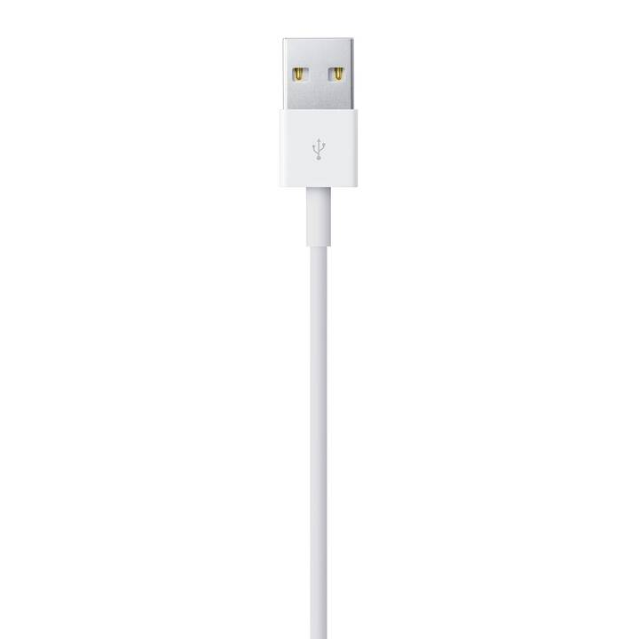 Ein weißes USB-Kabel mit Metallstecker auf neutralem Hintergrund.