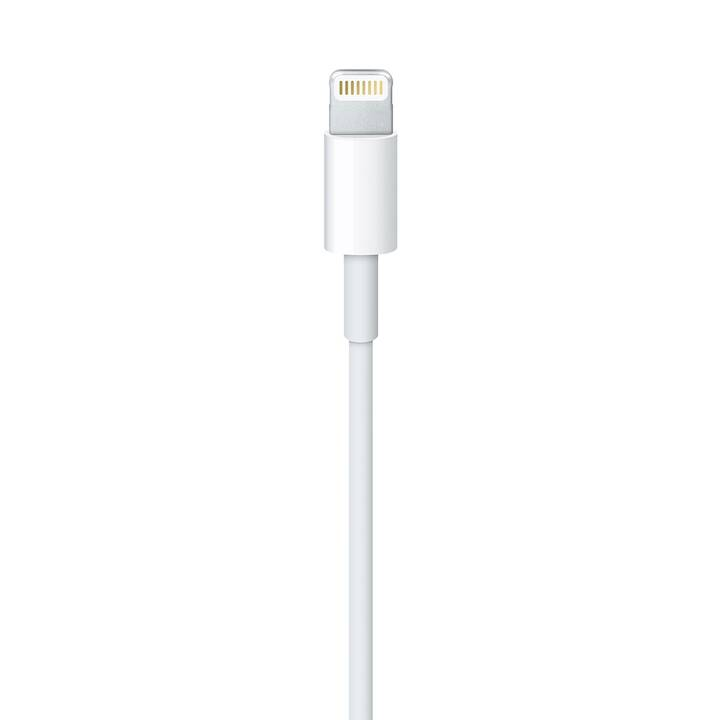 Nahaufnahme eines weißen Apple Lightning-Kabelsteckers vor schlichtem weißen Hintergrund.