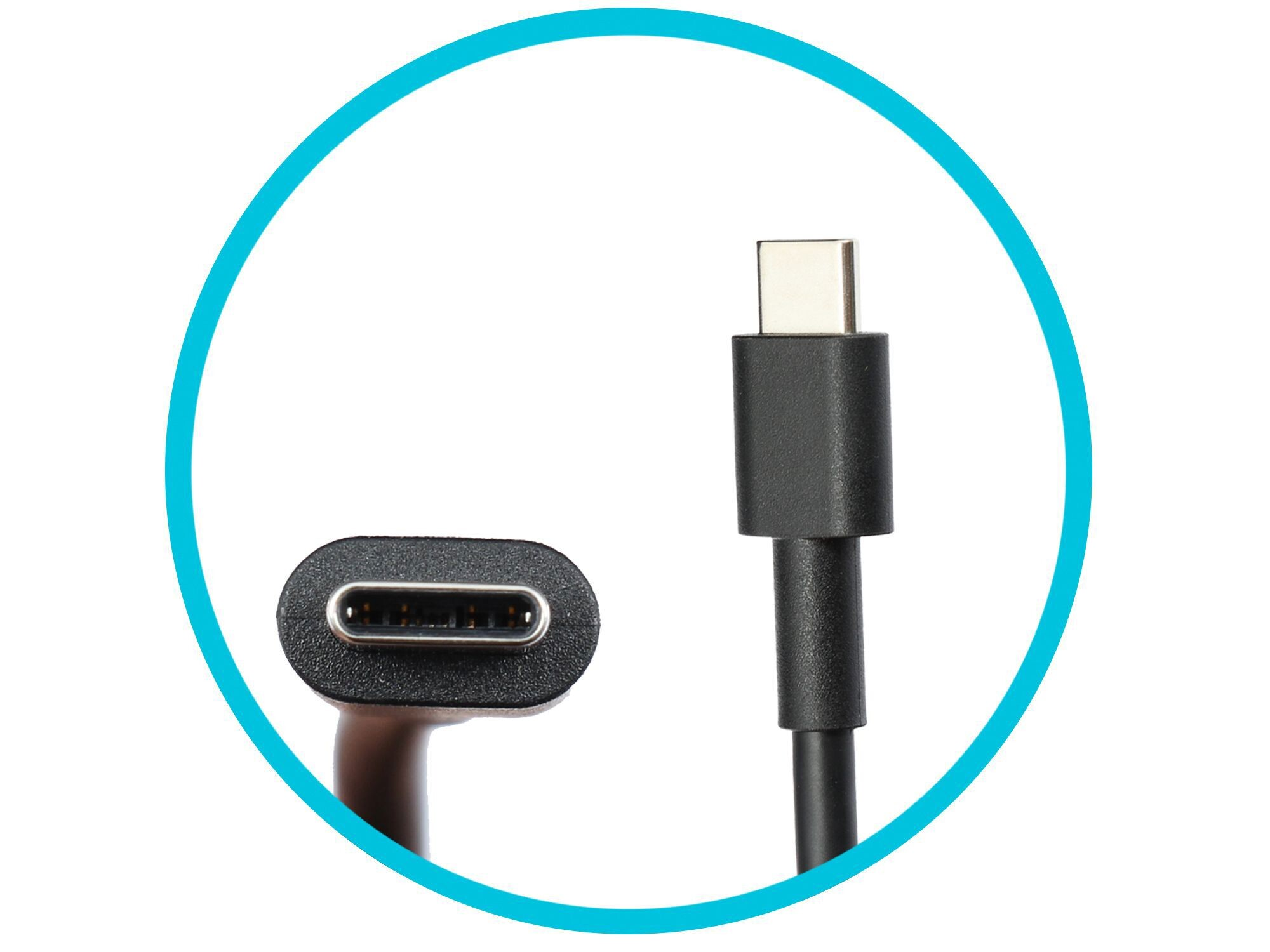 Ein schwarzes USB-C-Kabel mit Anschluss und Buchse innerhalb eines blauen Kreises.