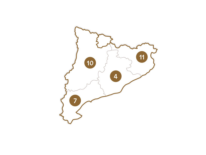Un mapa blanco de una región con contornos marrones y cuatro círculos marrones con los números 7, 10, 4 y 11.