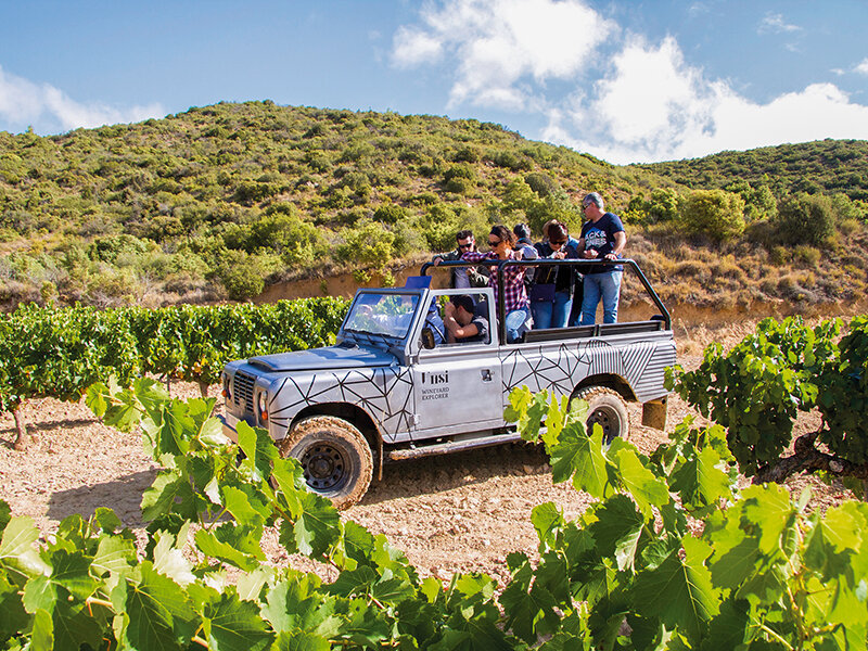Un jeep abierto conduce por un viñedo verde con colinas al fondo y turistas en la parte trasera.