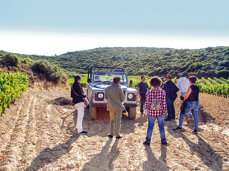 Un grupo de turistas está cerca de un vehículo todoterreno en un viñedo.