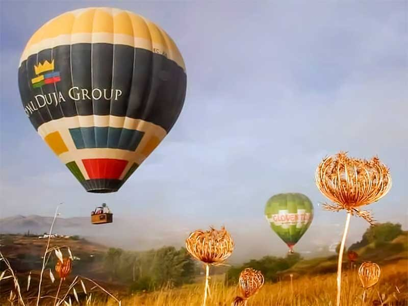 Globos aerostáticos vuelan sobre un campo montañoso con plantas secas en primer plano.