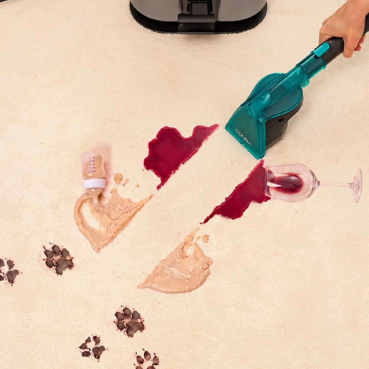 Una aspiradora limpia manchas de vino, leche y huellas de patas en una alfombra.