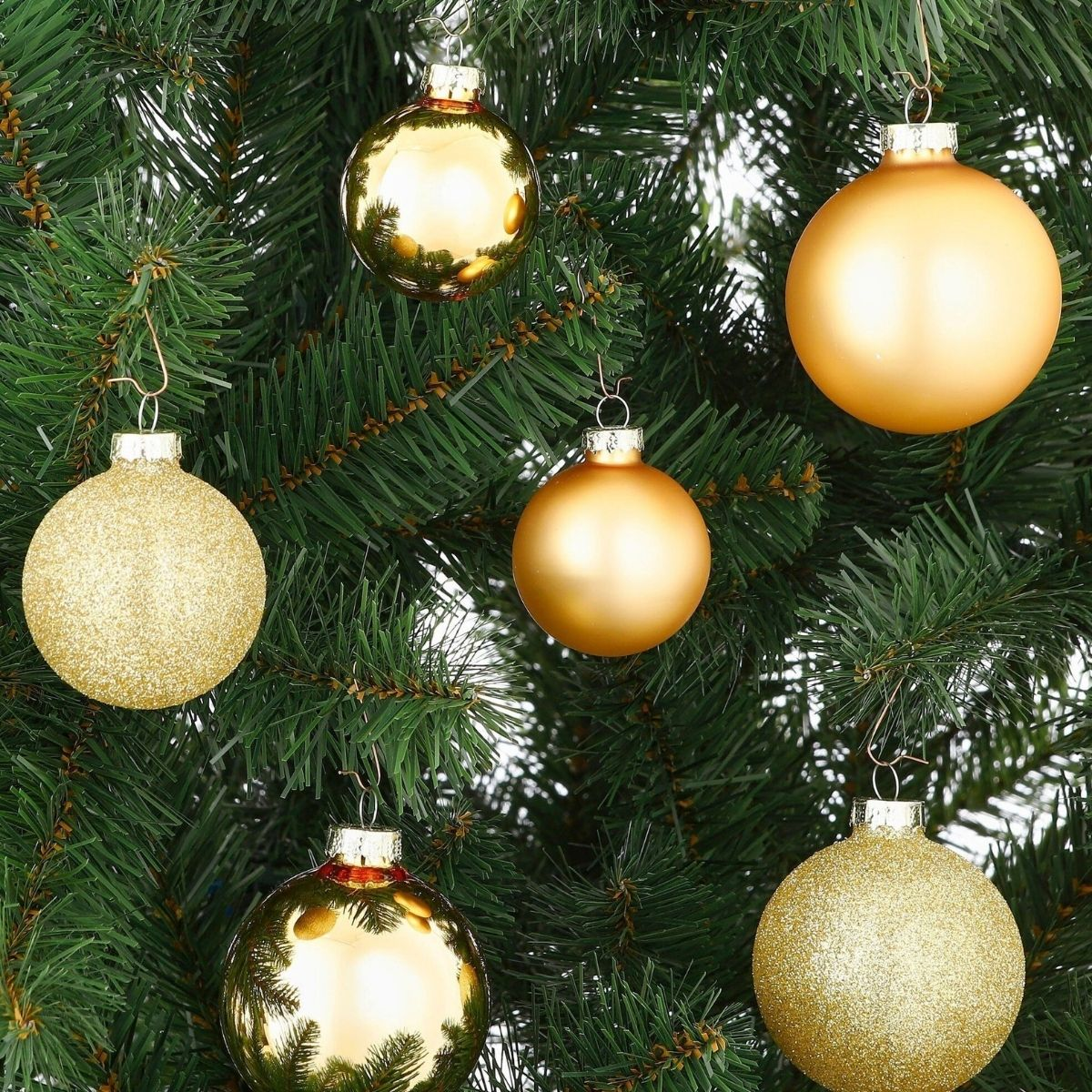 Six gold Christmas ornaments hang among the green branches of a Christmas tree.