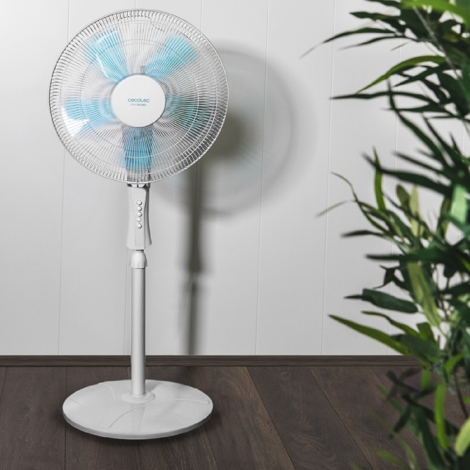 Un ventilador de pedestal blanco con aspas azules se encuentra en una habitación con suelo de madera y paredes blancas al lado de una planta.