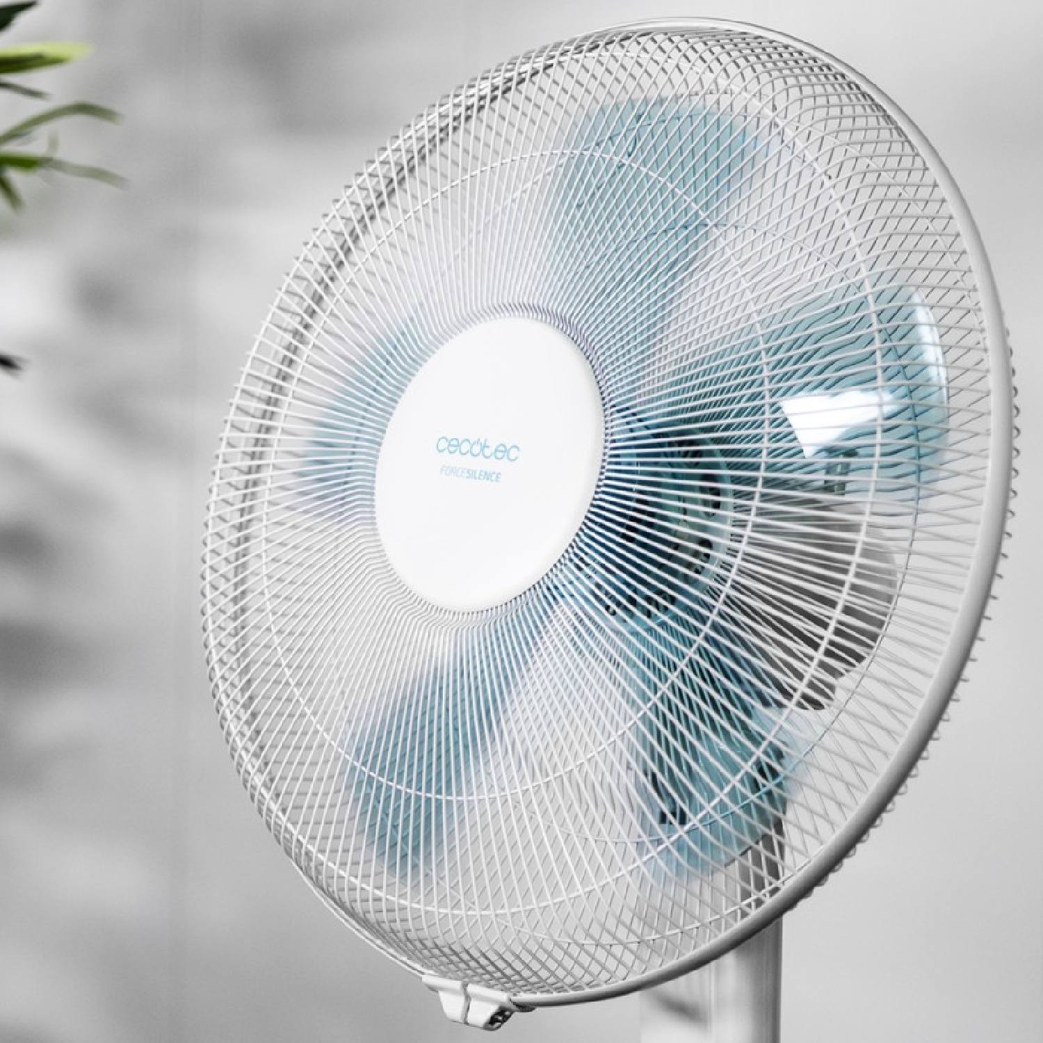 Un ventilador de pedestal Cecotec blanco con aspas azules contra una pared gris.