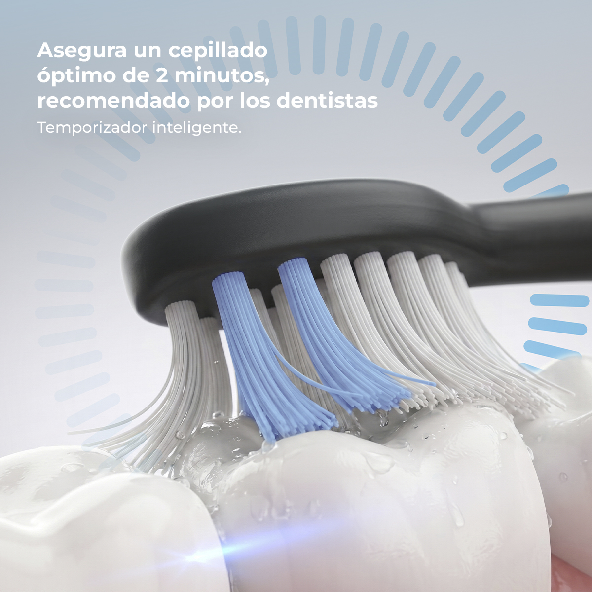 Primer plano de un cabezal de cepillo de dientes limpiando dientes blancos, con cerdas azules y blancas y gotas de agua.