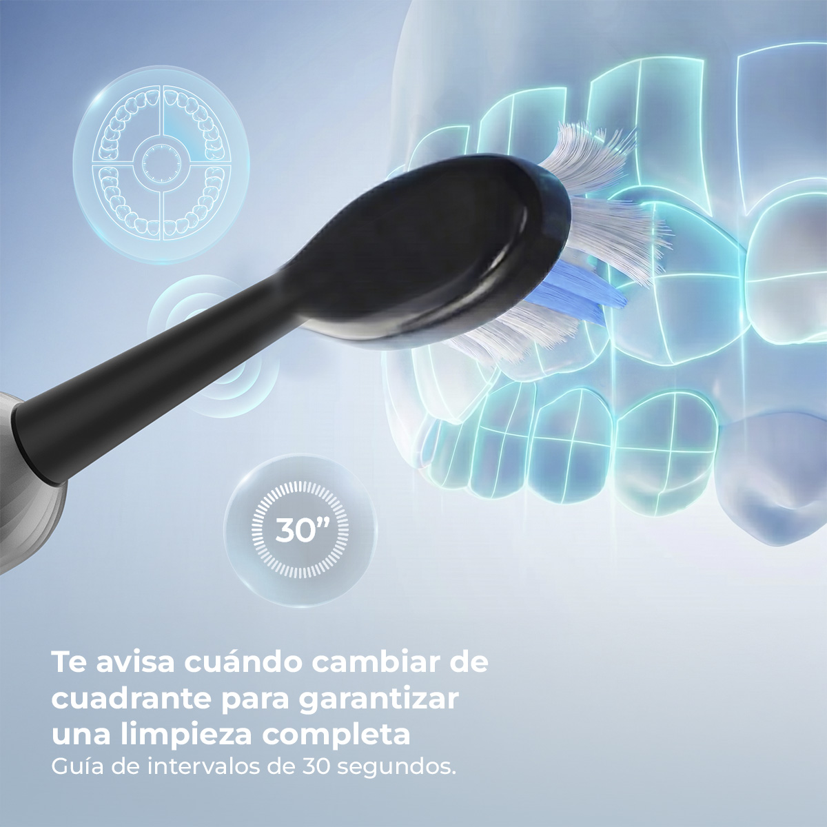 Un cabezal de cepillo eléctrico negro limpia dientes con líneas de cuadrícula azules y un icono de intervalo de 30 segundos.