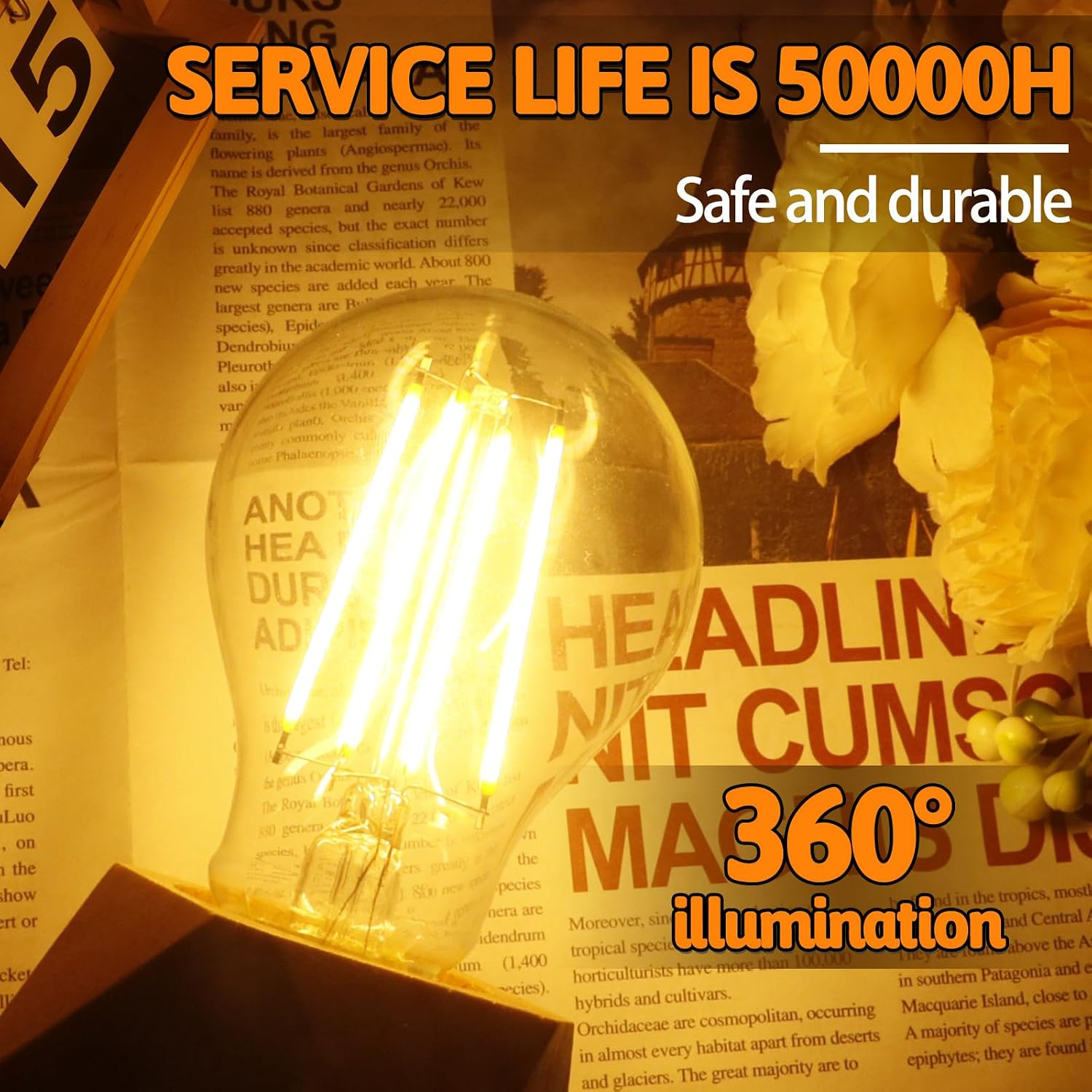 Eine Glühbirne leuchtet vor einer Zeitung und Blumen mit Texten wie 360° Illumination.
