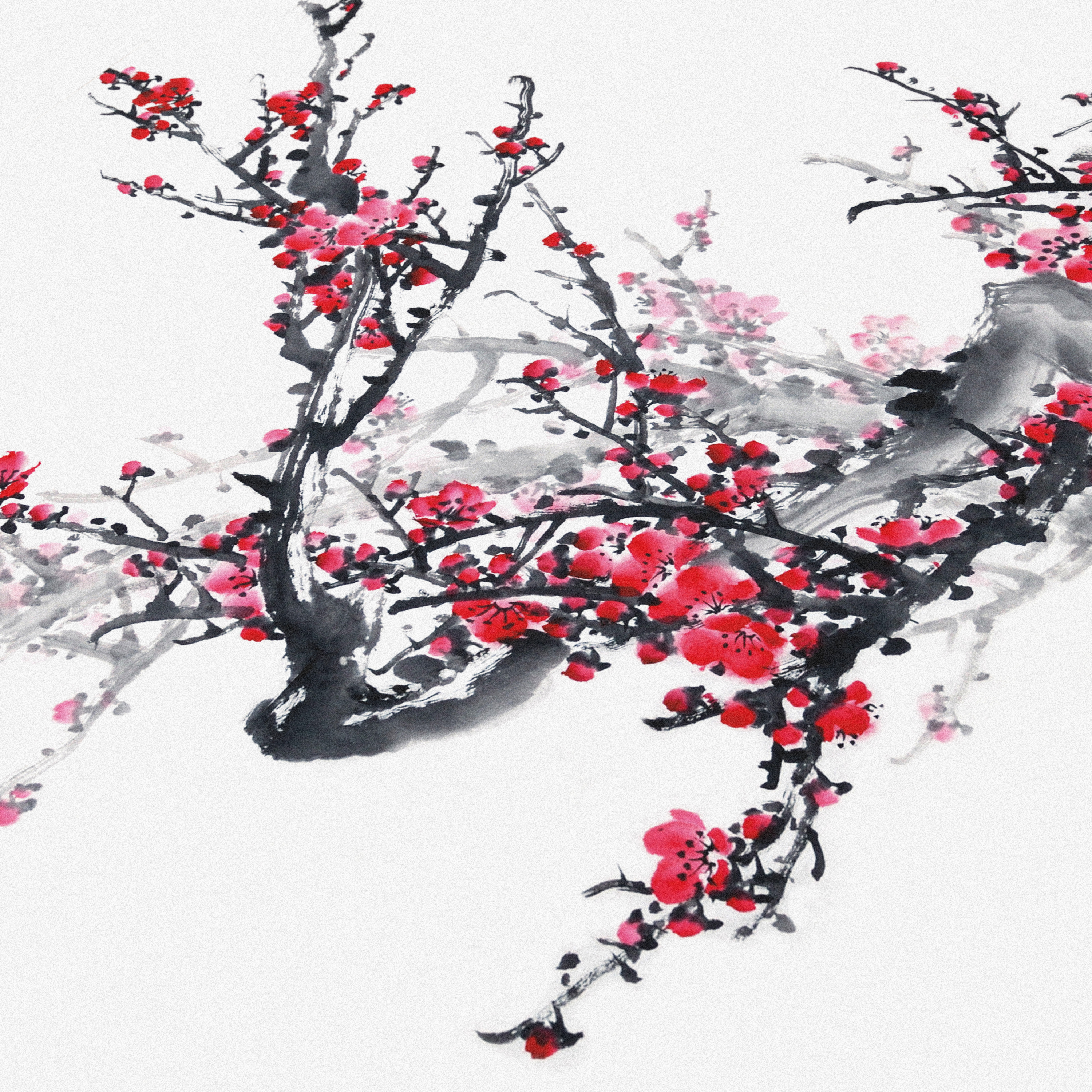 Traditionelles chinesisches Tuschemalbild mit roten Pflaumenblüten auf kahlen Ästen vor weißem Hintergrund.