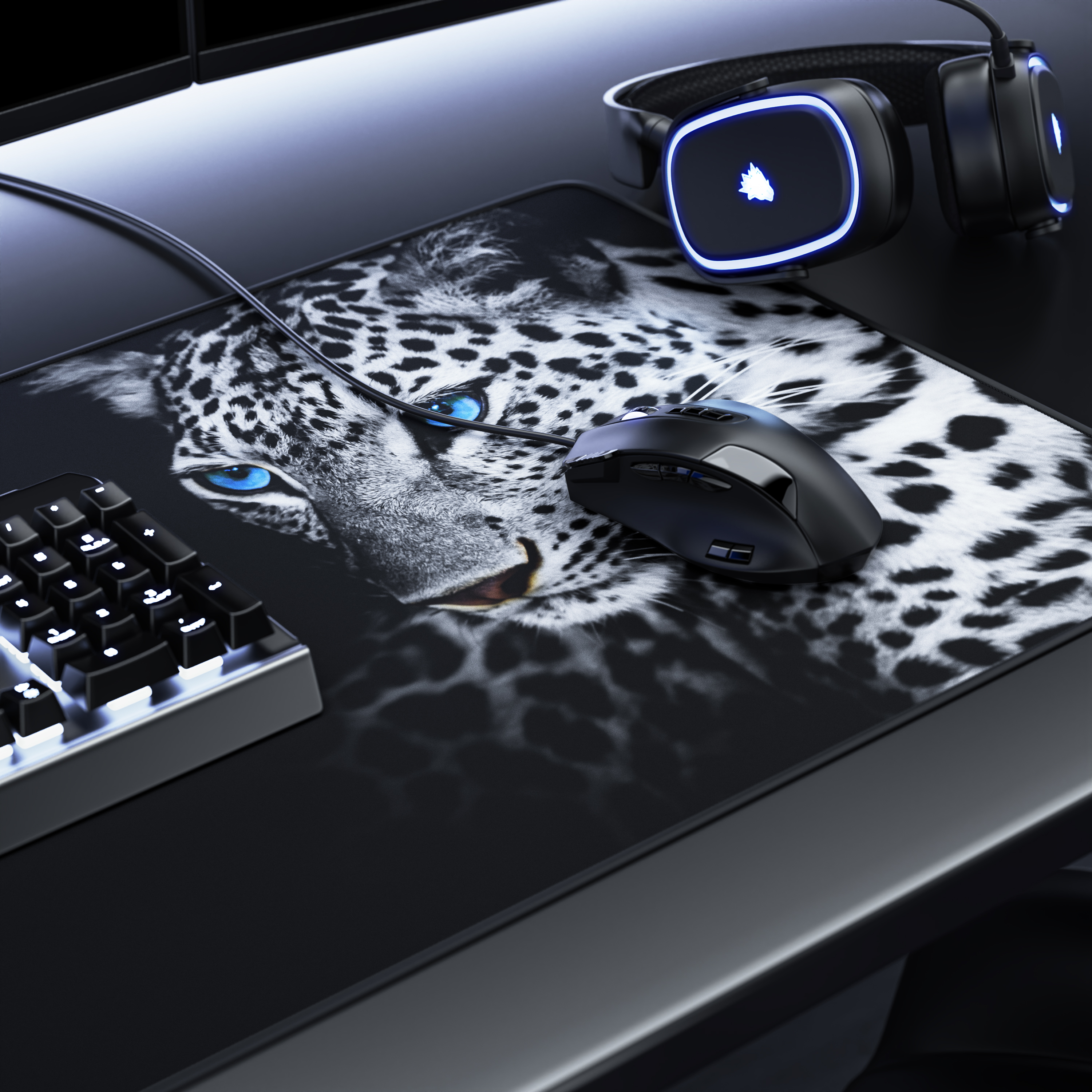 Ein Gaming-Setup auf einem schwarzen Schreibtisch mit Leoparden-Mauspad, schwarzer Maus, Tastatur und blauem Headset.