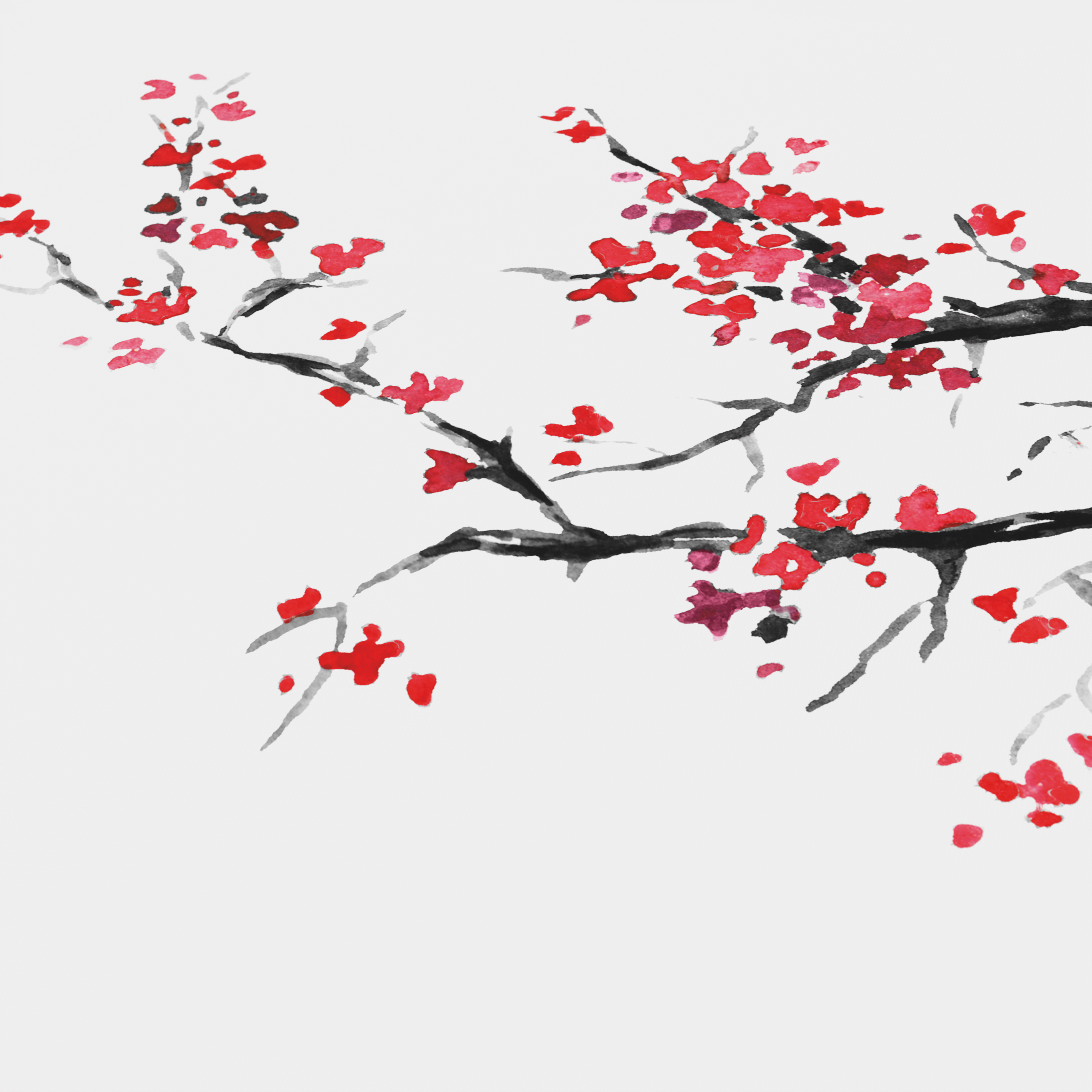 Aquarellmalerei eines Kirschblütenzweigs mit roten Blüten auf hellem Hintergrund.