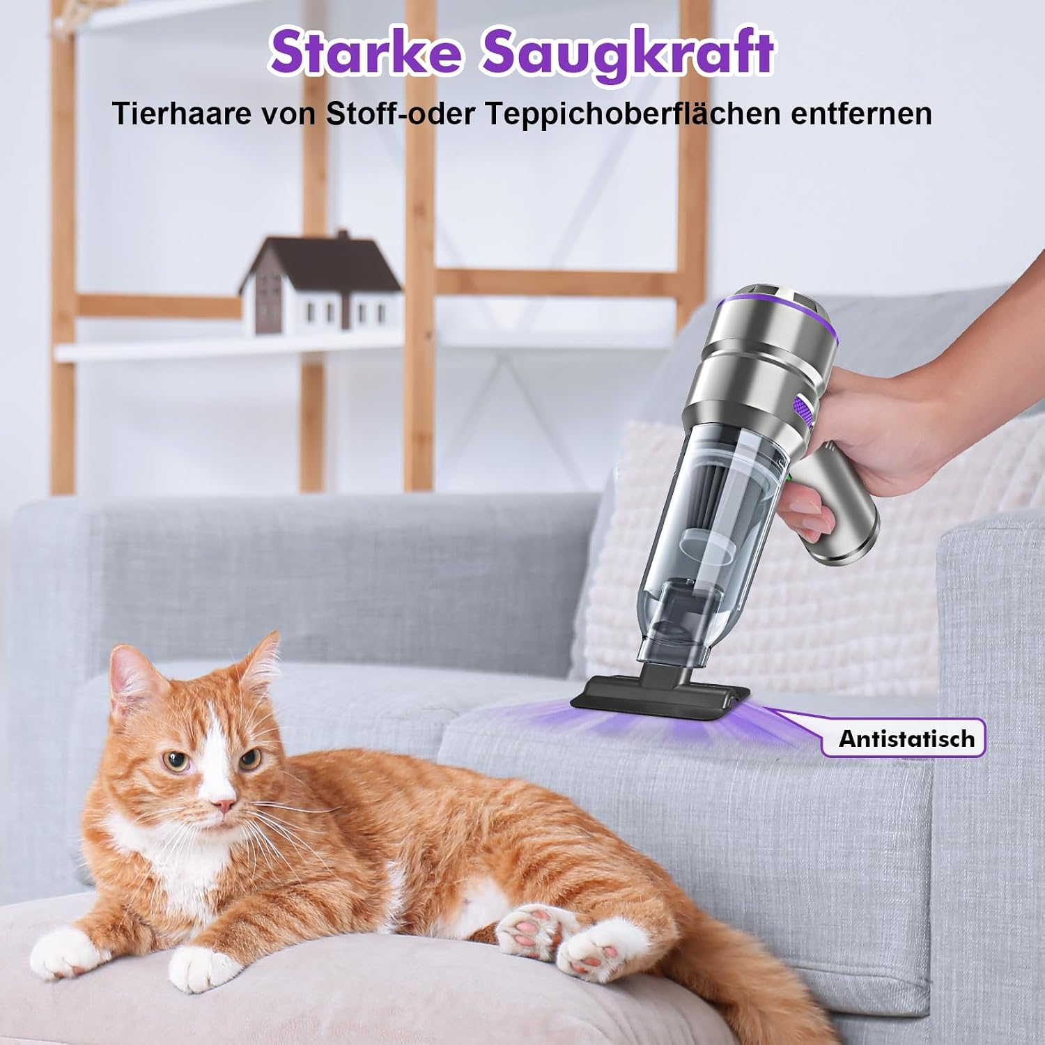 Handstaubsauger reinigt Sofa, während eine orange-weiße Katze entspannt.