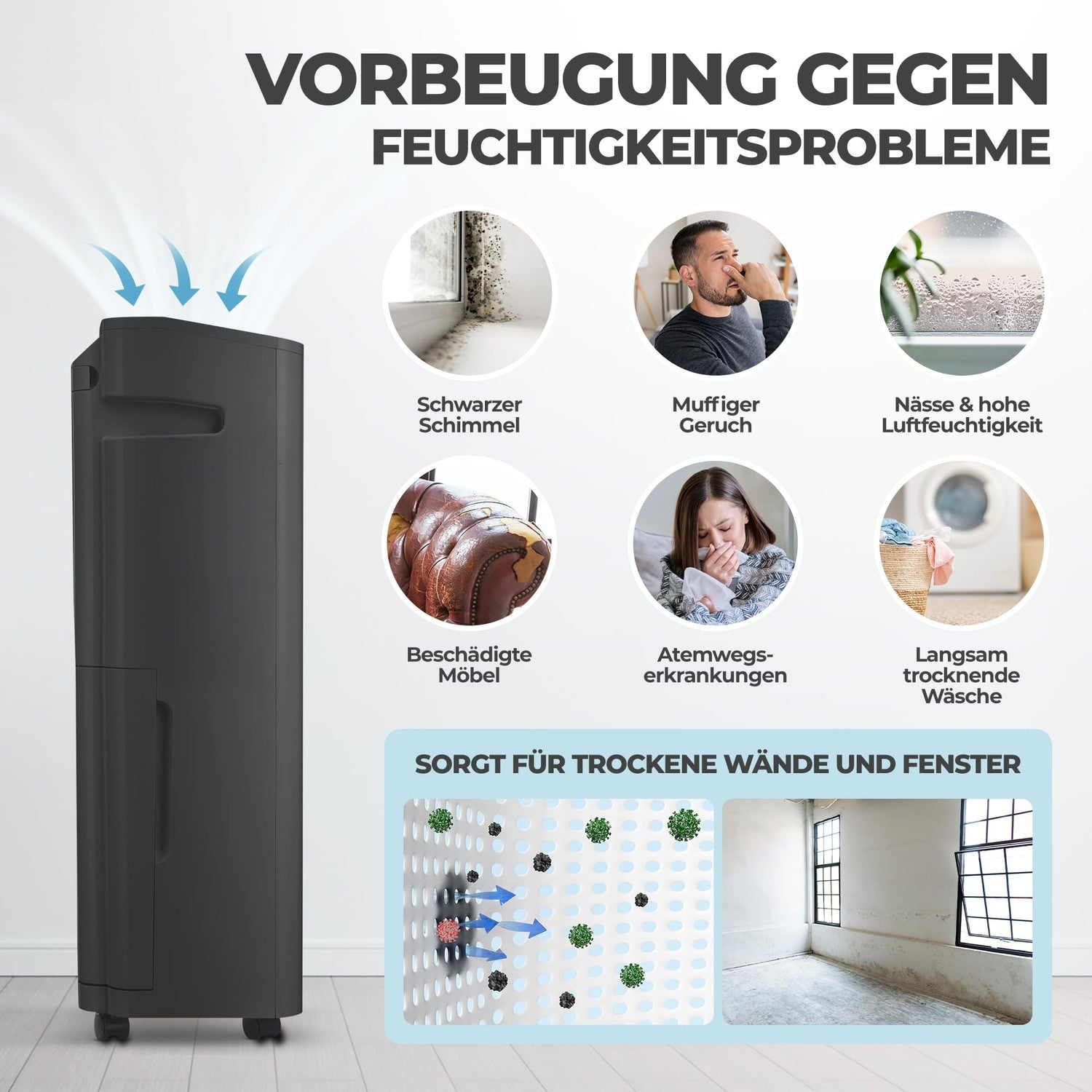 Schwarzer Dehumidifier zeigt Probleme wie Schimmel, Geruch und Nässe und verspricht trockene Wände.