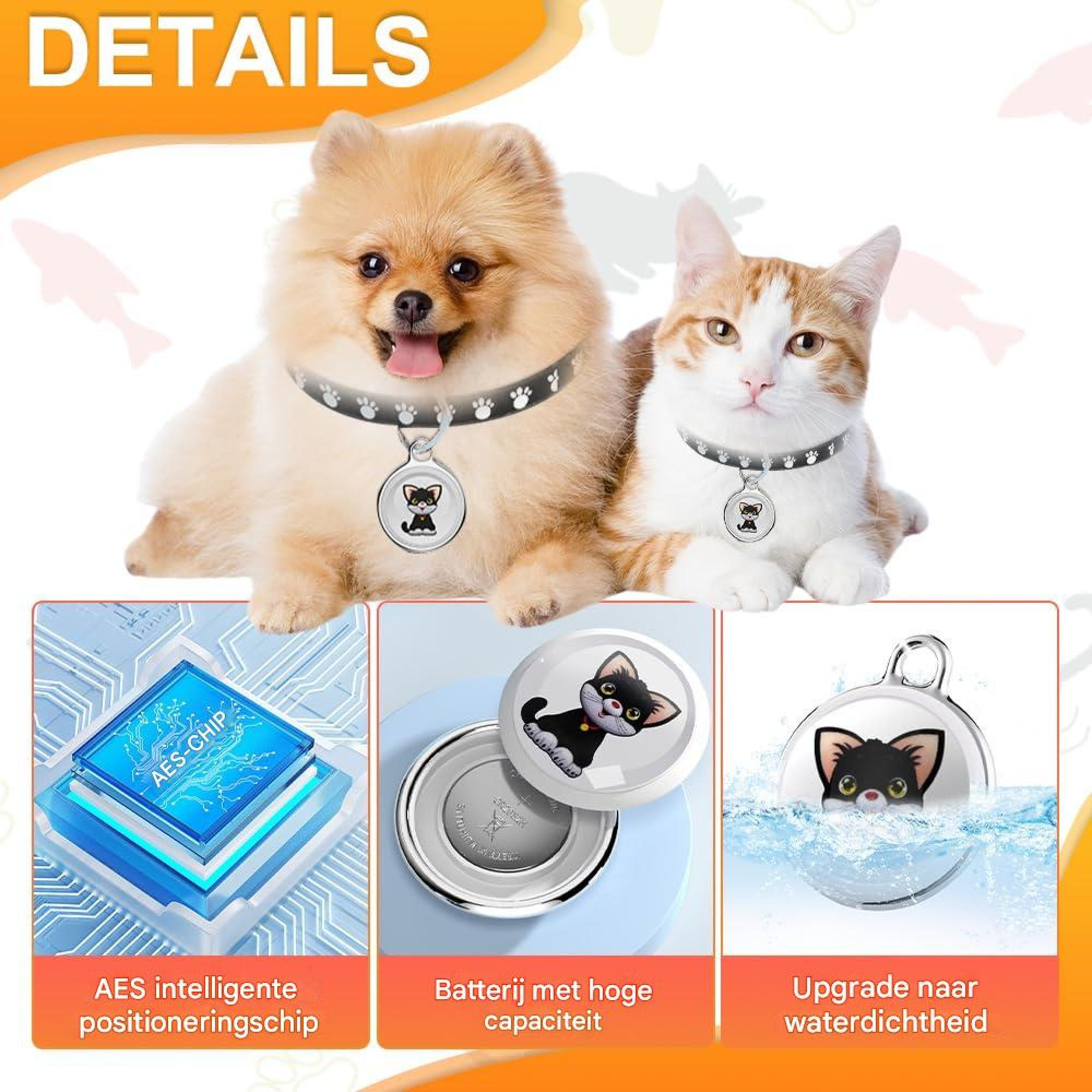 Ein Pomeranian-Hund und eine Katze tragen ein Halsband mit einem GPS-Anhänger. Unten sind Chip, Batterie und Wasserdichtigkeit gezeigt.