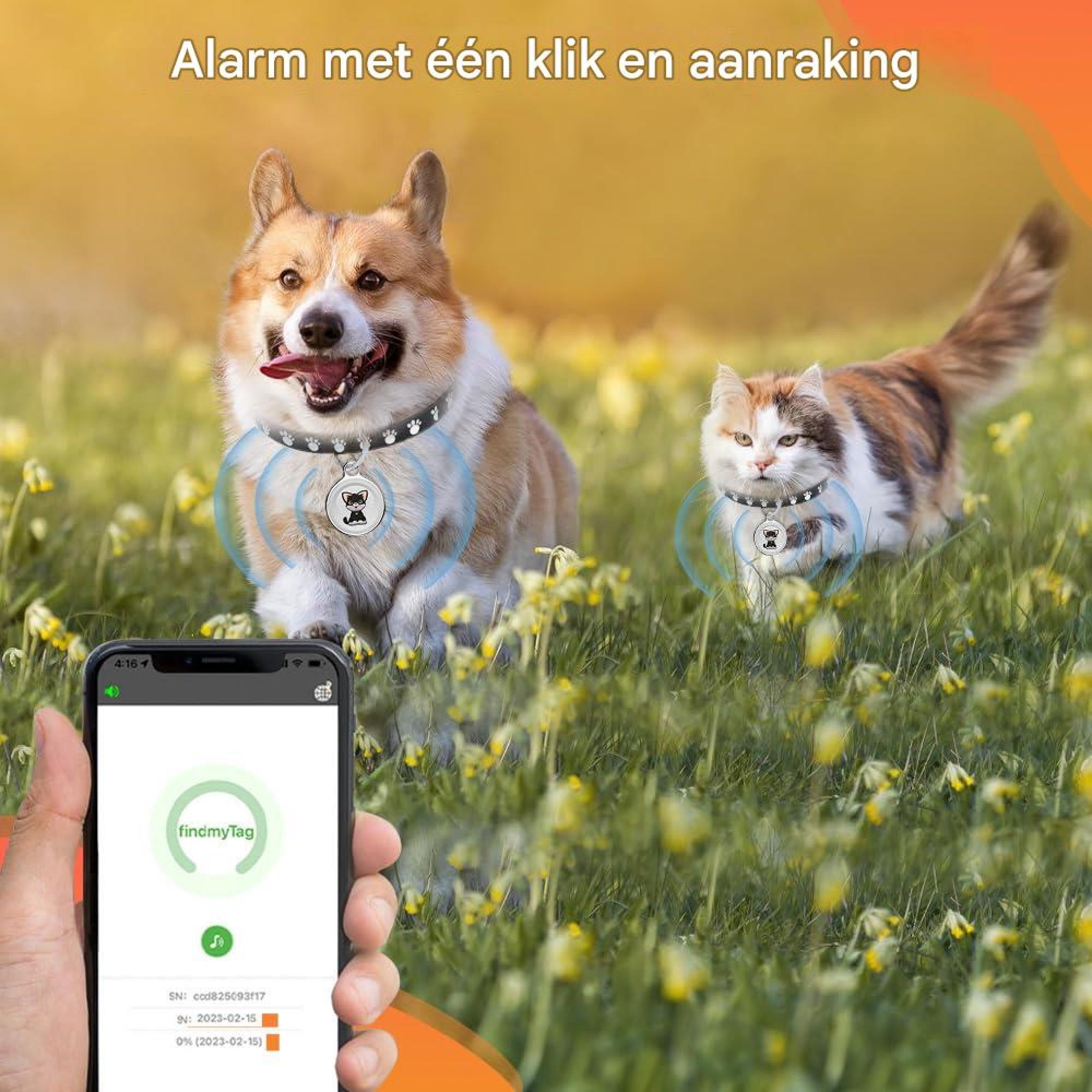 Ein Hund und eine Katze laufen im Gras, während ein Smartphone mit einer Ortungs-App im Vordergrund zu sehen ist.