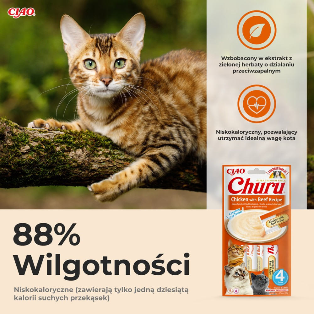 Kot siedzi na pokrytej mchem gałęzi obok reklamy przysmaków Churu z polskim tekstem.