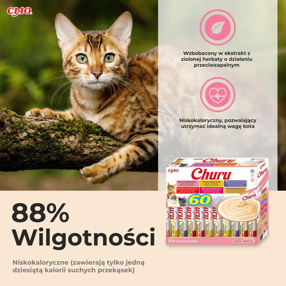 Kot bengalski na gałęzi z karmą Churu i polskim tekstem reklamowym.
